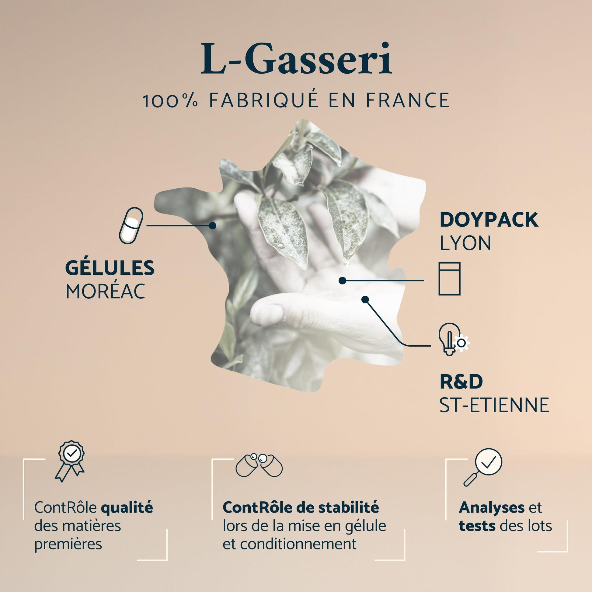Lactobacillus Gasseri Probiotique Ventre Plat - Flore Intestinale Digestion - 30 Gélules Gastro-Résistantes - Fabriqué en France par Apyforme - Medaid International
