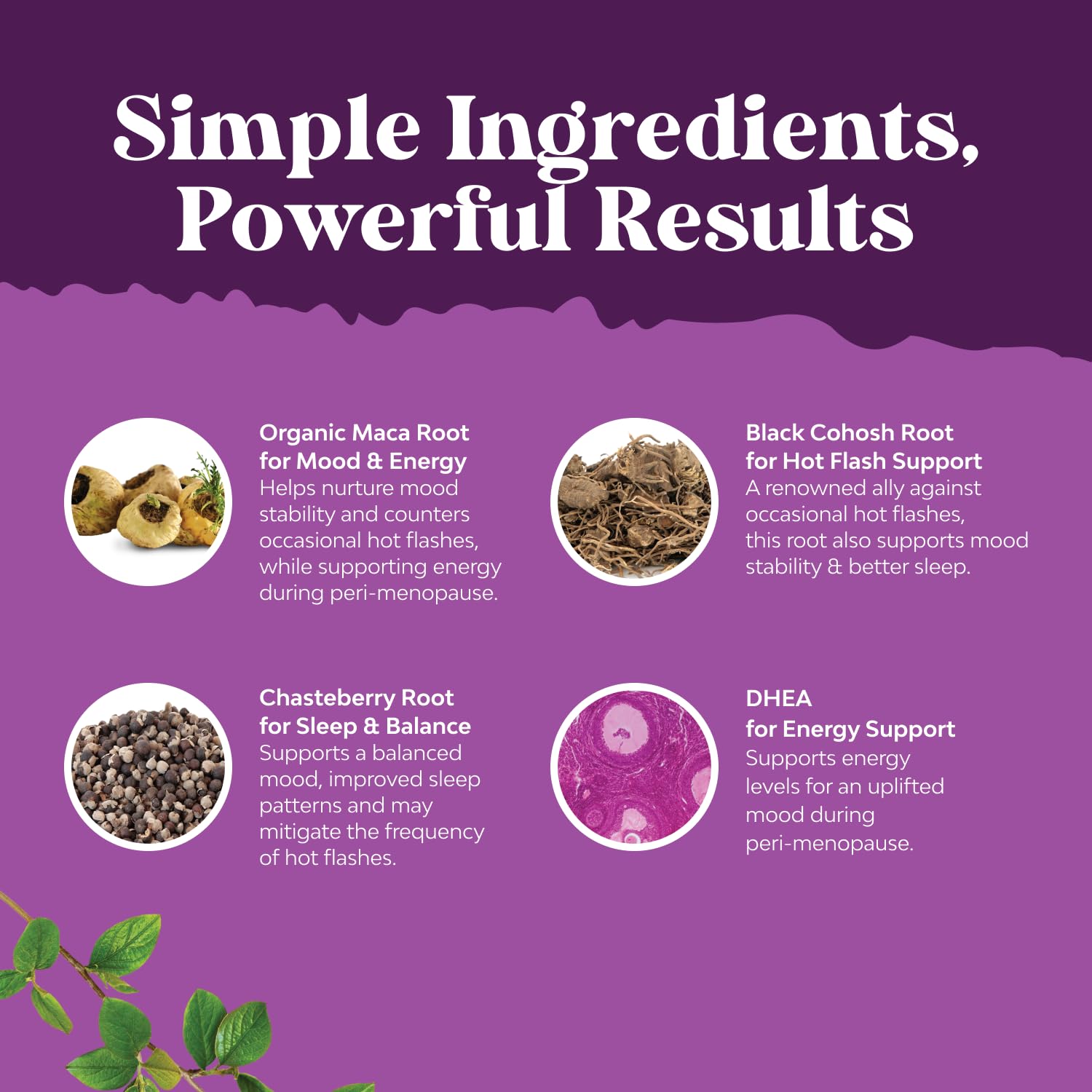 Complete Perimenopause Supplement for Women - Multibenefit Menopause Ease for Women with Maca Root Vitex Berry & Black Cohosh for Hot Flashes Night Sweats Hormone Balance and Mood Support (1 Month) - Medaid International