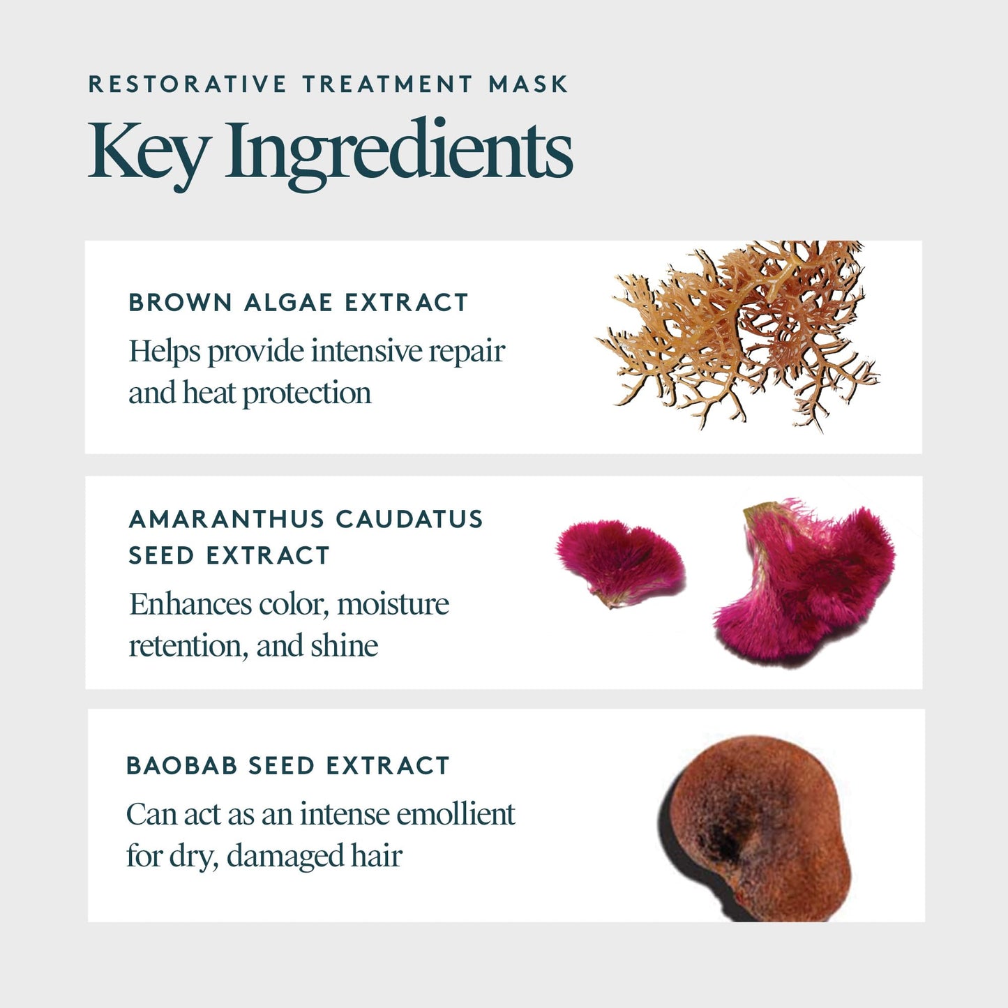 VIRTUE Restorative Hair Mask Treatment for Damaged Hair with Keratin and Baobab Seed Oil, Safe for All Hair Types, Color Safe - Medaid International