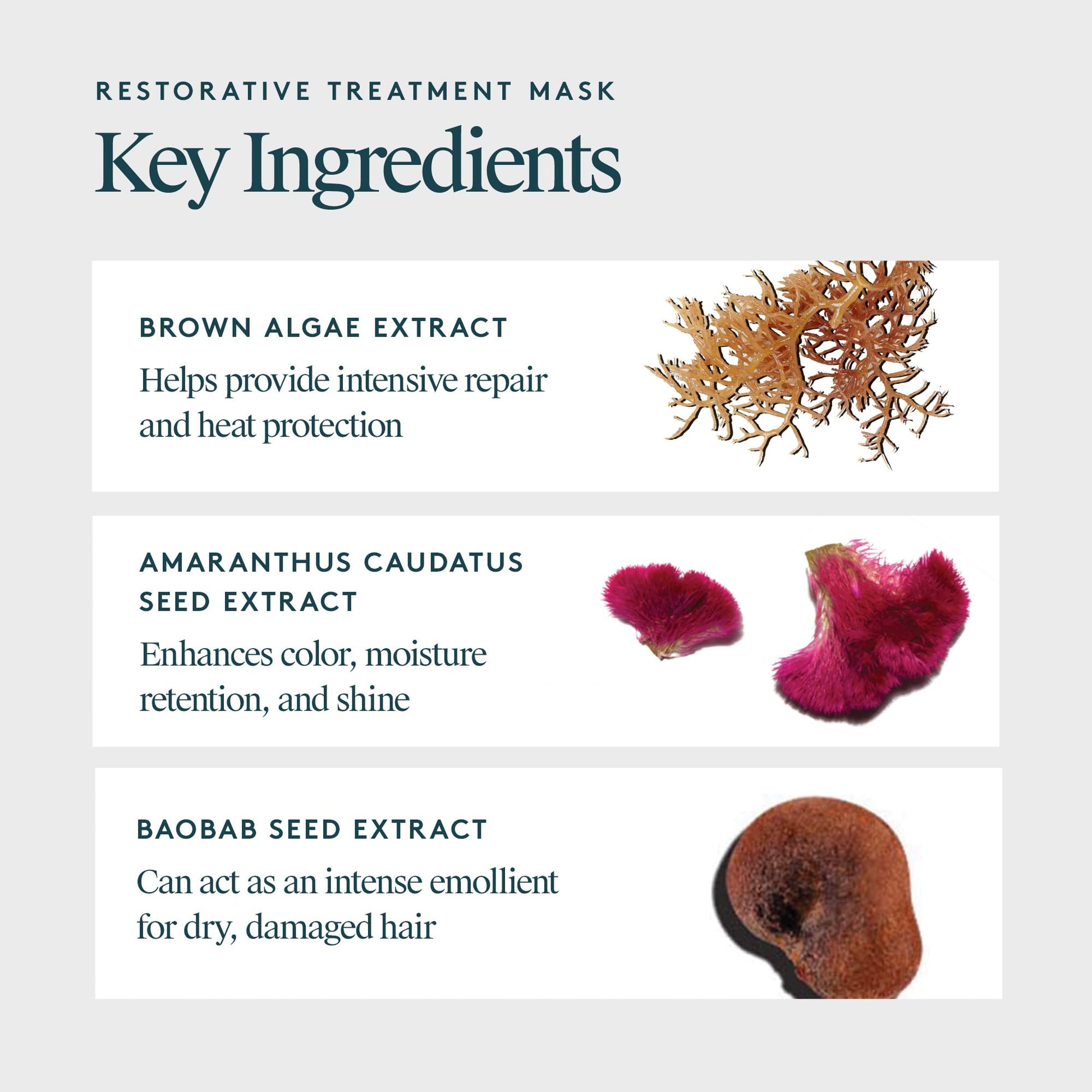 VIRTUE Restorative Hair Mask Treatment for Damaged Hair with Keratin and Baobab Seed Oil, Safe for All Hair Types, Color Safe - Medaid International