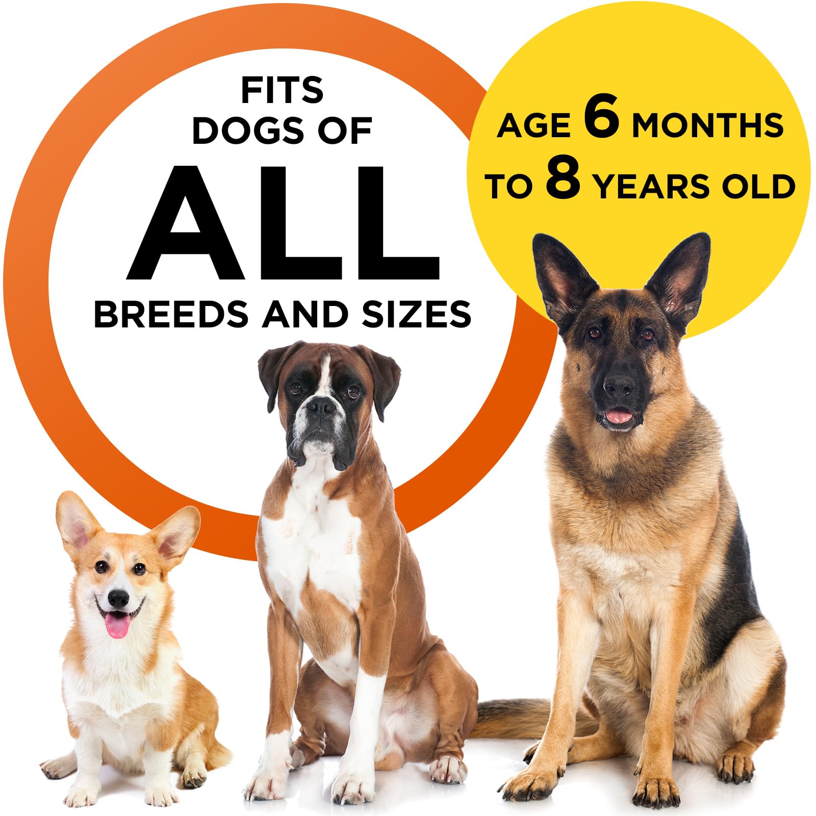 2024 Dog Bark Deterrent Device, Anti-Bark Device for Dog Training & Behavior Aid, No Need to Yell or Pat, Simply Point at The Dog Within 35ft, Ultra-Bright LED Flashlight | Bark Collar Alternative - Medaid International