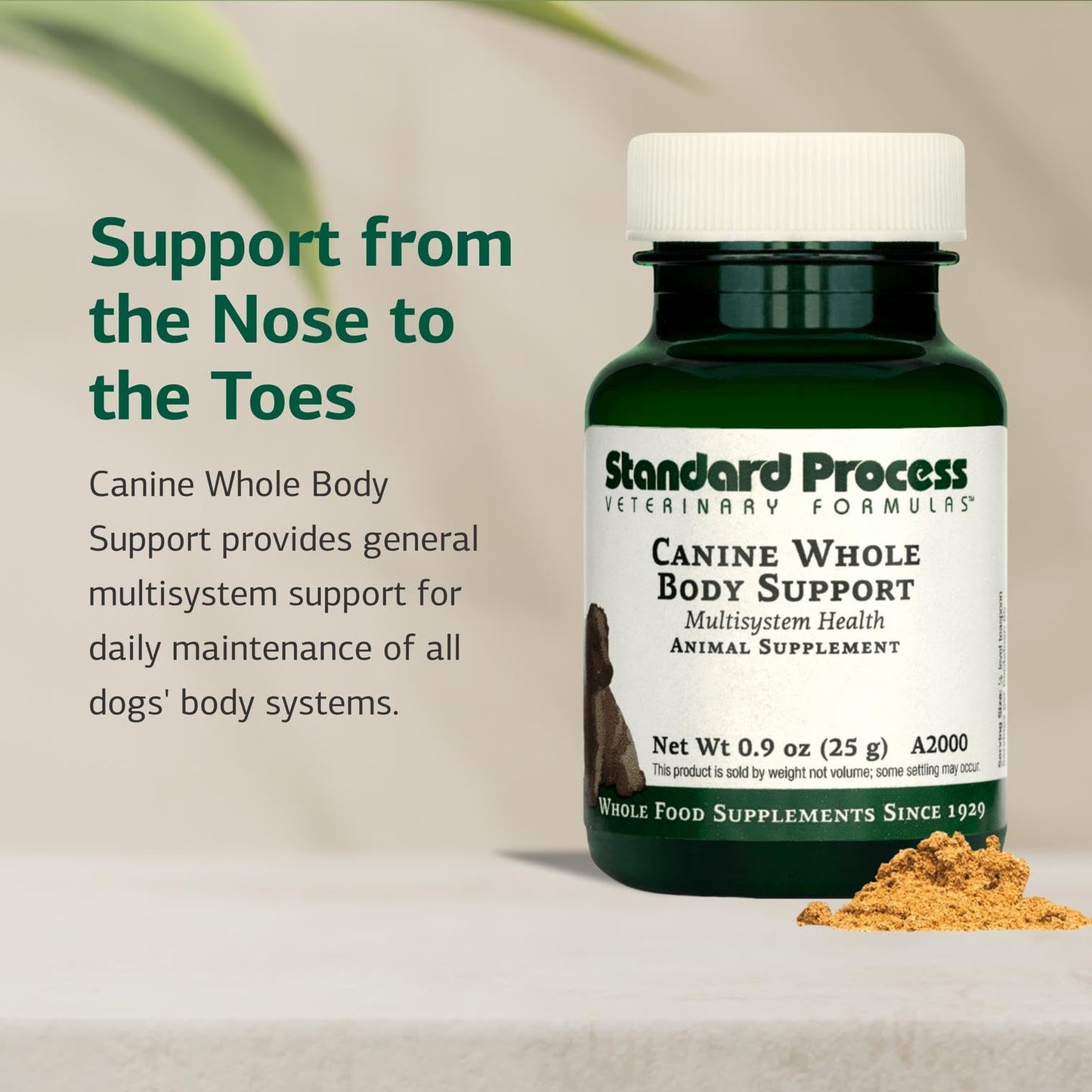 Standard Process Inc. Whole Body Multisystem Support Supplement for Canines - Nutritional Powder for Daily Health Maintenance - 25 g