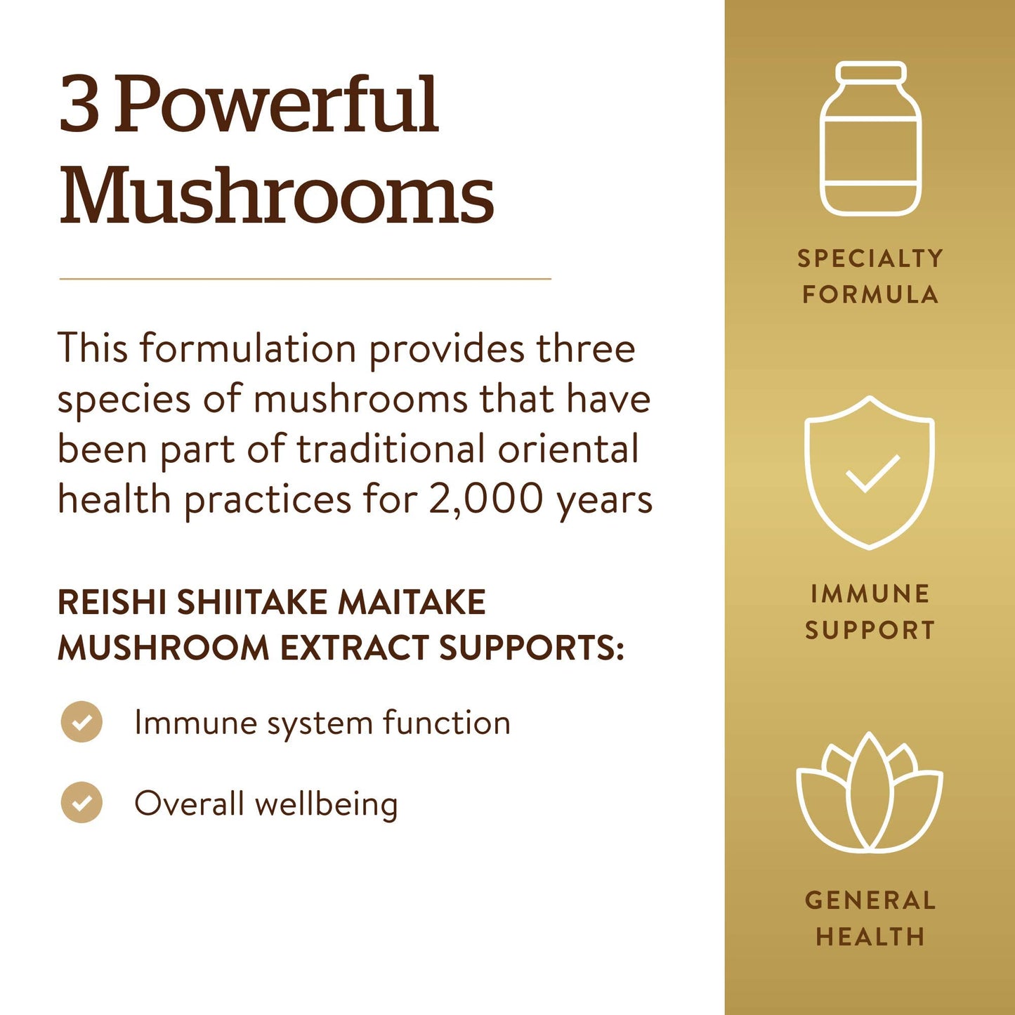 Solgar Multi-Mushroom Complex, 50 Vegetable Capsules - Reishi, Shiitake, Maitake Mushroom Extract - Natural Source of Beta Glucans - Non-GMO, Vegan, Gluten Free, Dairy Free - 50 Servings - Medaid International