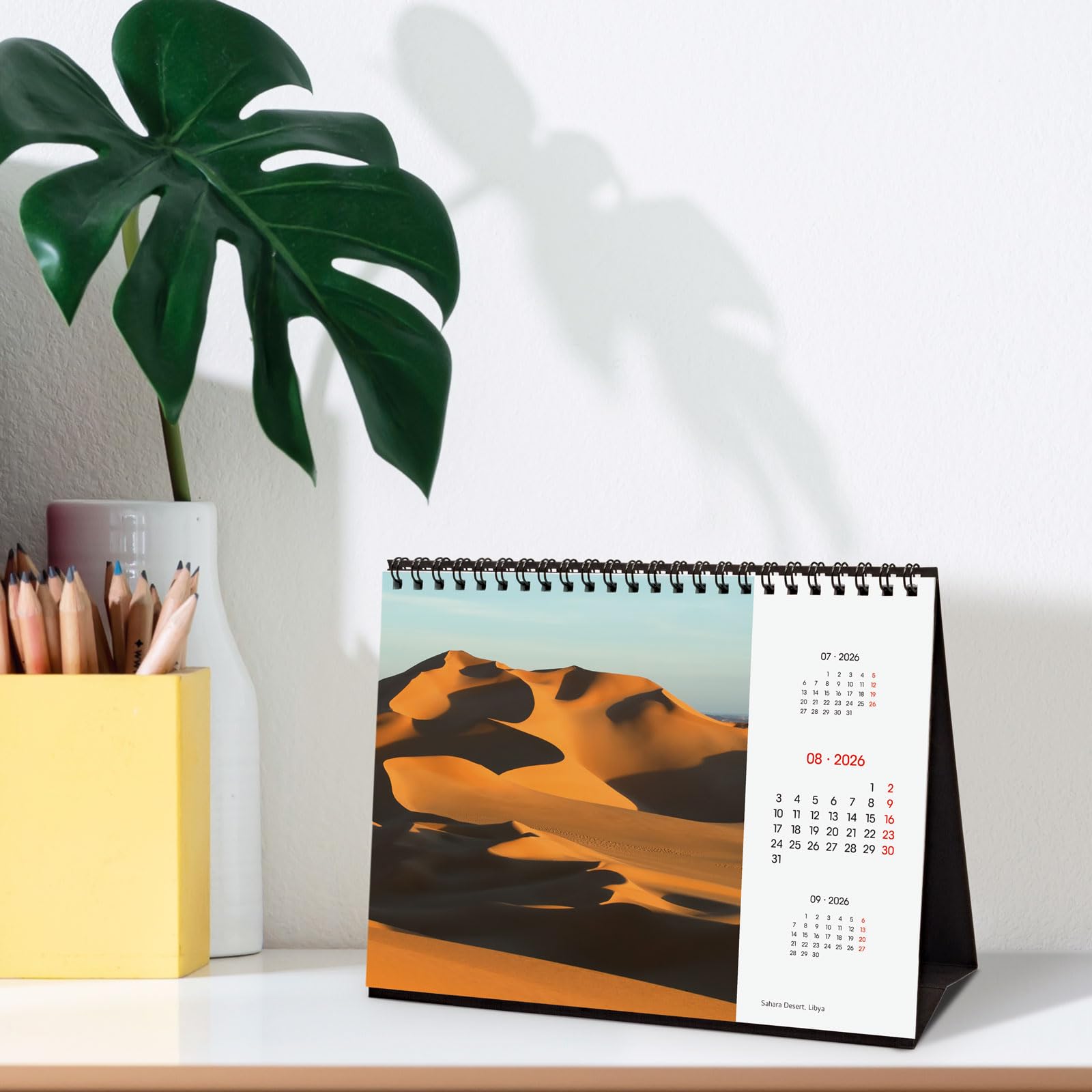 Finocam - Desktop Calendar 2026 Month View January - December 2026 + Sep.- Dec. 2025 (4 months) reduced | Calendar 2026 | Nature Images - International - Medaid International