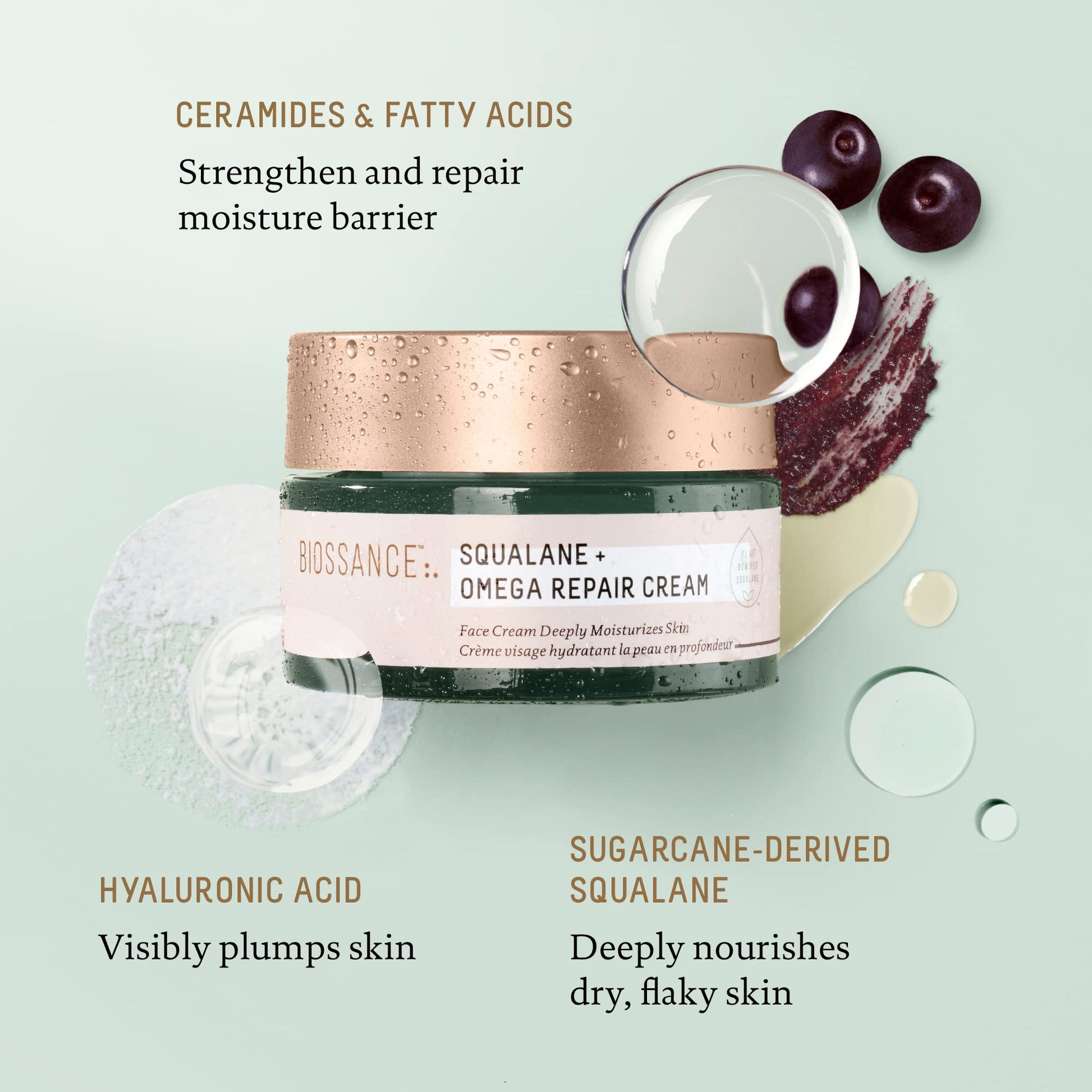 BIOSSANCE Squalane + Omega Repair Cream - Ultra-Moisturizing Face Cream - Skin Care with Hyaluronic Acid, Ceramides, Squalane - Ideal for Dry & Sensitive Skin, Intense Hydration Moisturizer - 1.7oz - Medaid International