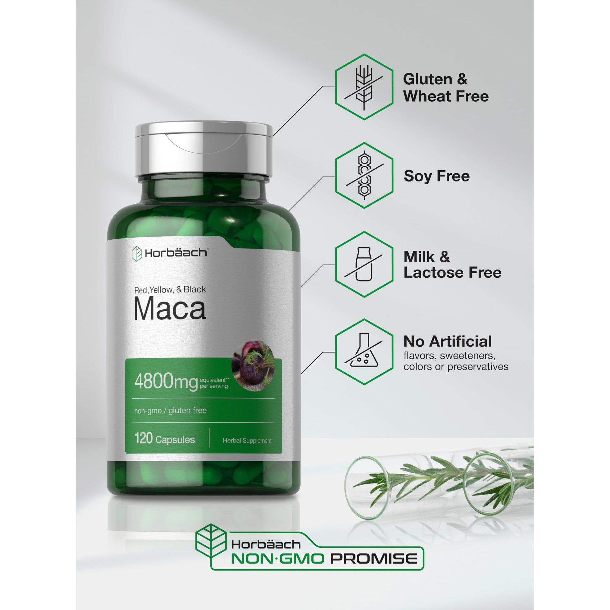 Horbäach Maca Root Capsules for Men and Women | 120 Pills | High Potency Extract | Non-GMO and Gluten Free Formula - Medaid International