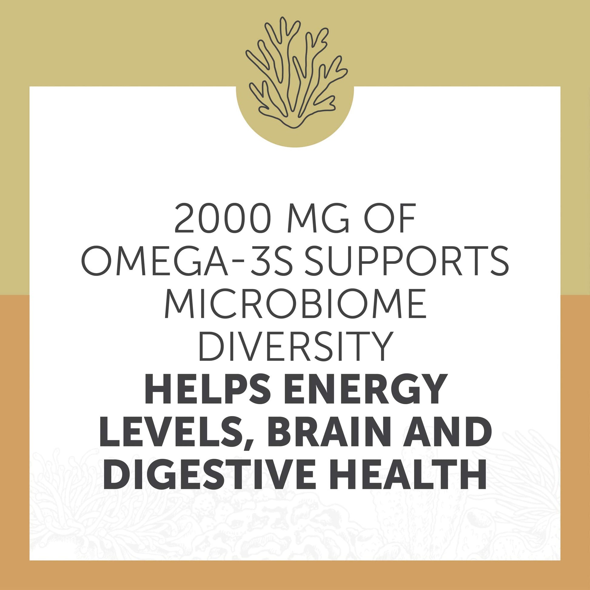 Enzymedica Aqua Biome Maximum Strength Omega 3 Fish Oil, 60 Softgels - Medaid International