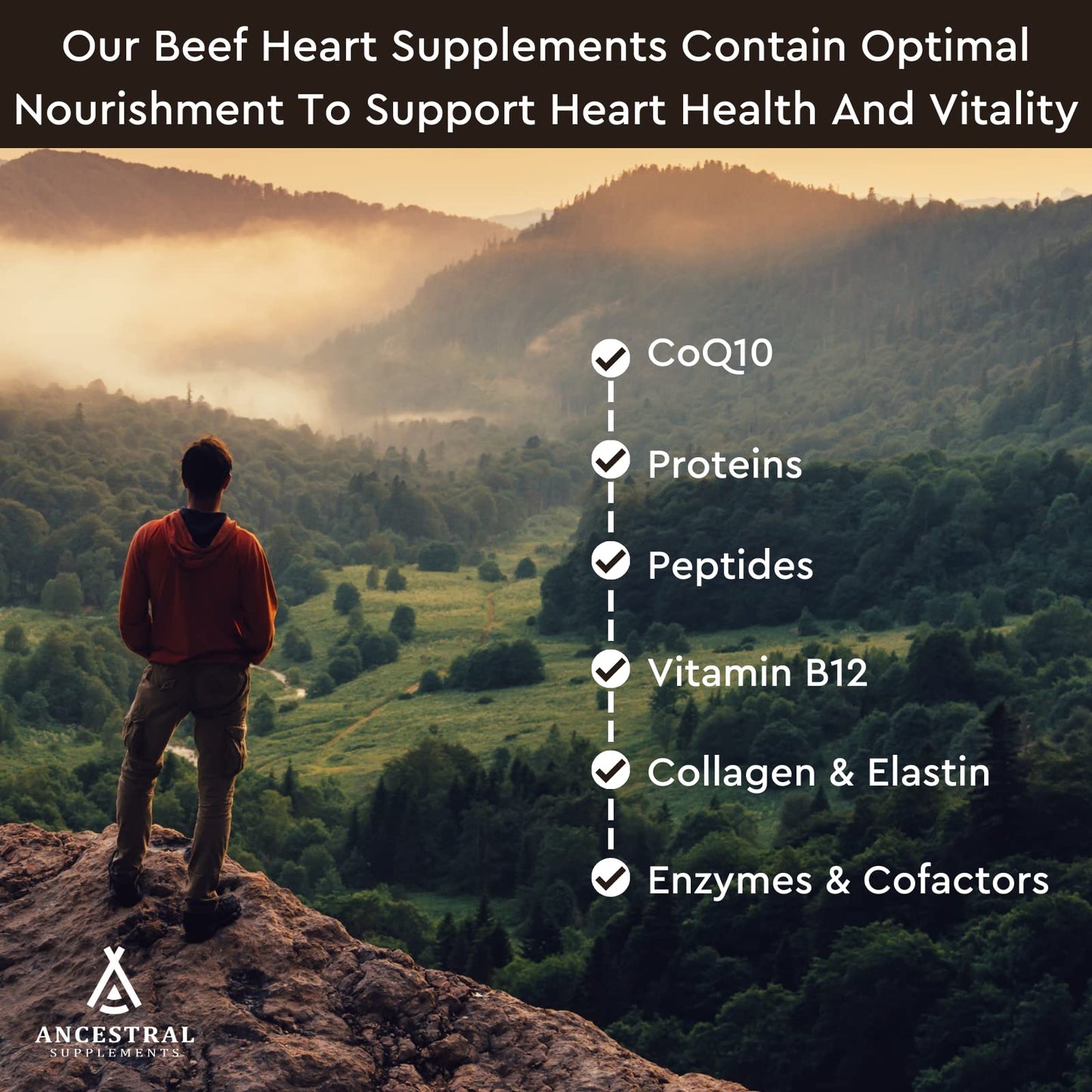 Ancestral Supplements Grass Fed Beef Heart Supplement, 3300mg, CoQ10 Supplement Supports Heart and Mitochondrial Health, Non-GMO, 180 Capsules - Medaid International