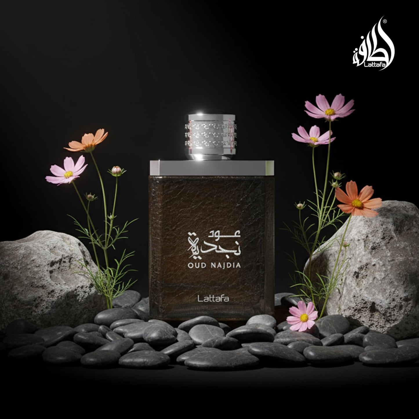 Lattafa Oud Najdia for Men - 3.4 oz EDP Spray - Medaid International