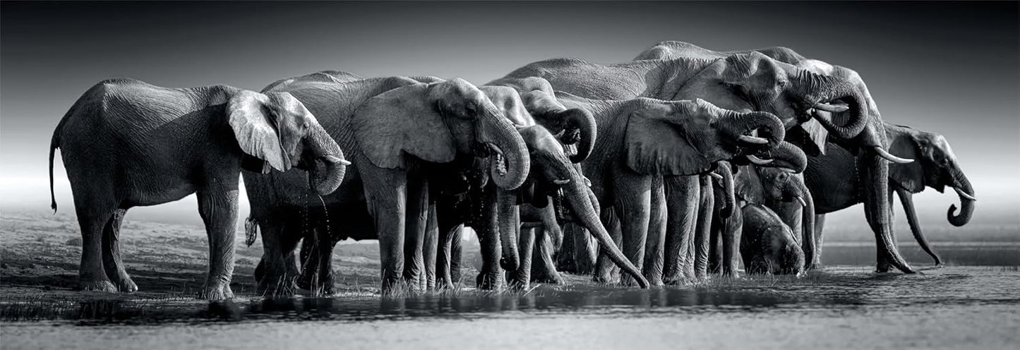 Herd of Giants-1000 Pieces, Panoramic - Medaid International