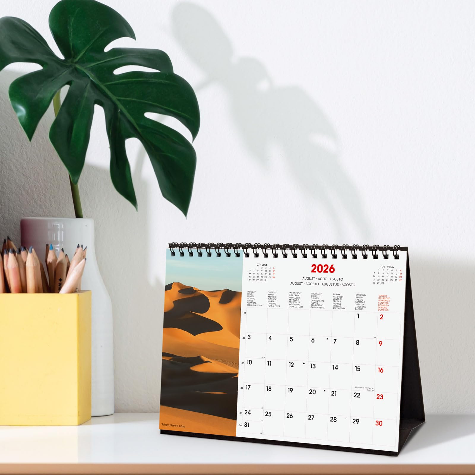 Finocam - Desktop Calendar 2026 Month View January - December 2026 + Sep.- Dec. 2025 (4 months) reduced | Calendar 2026 | Nature Images - International - Medaid International