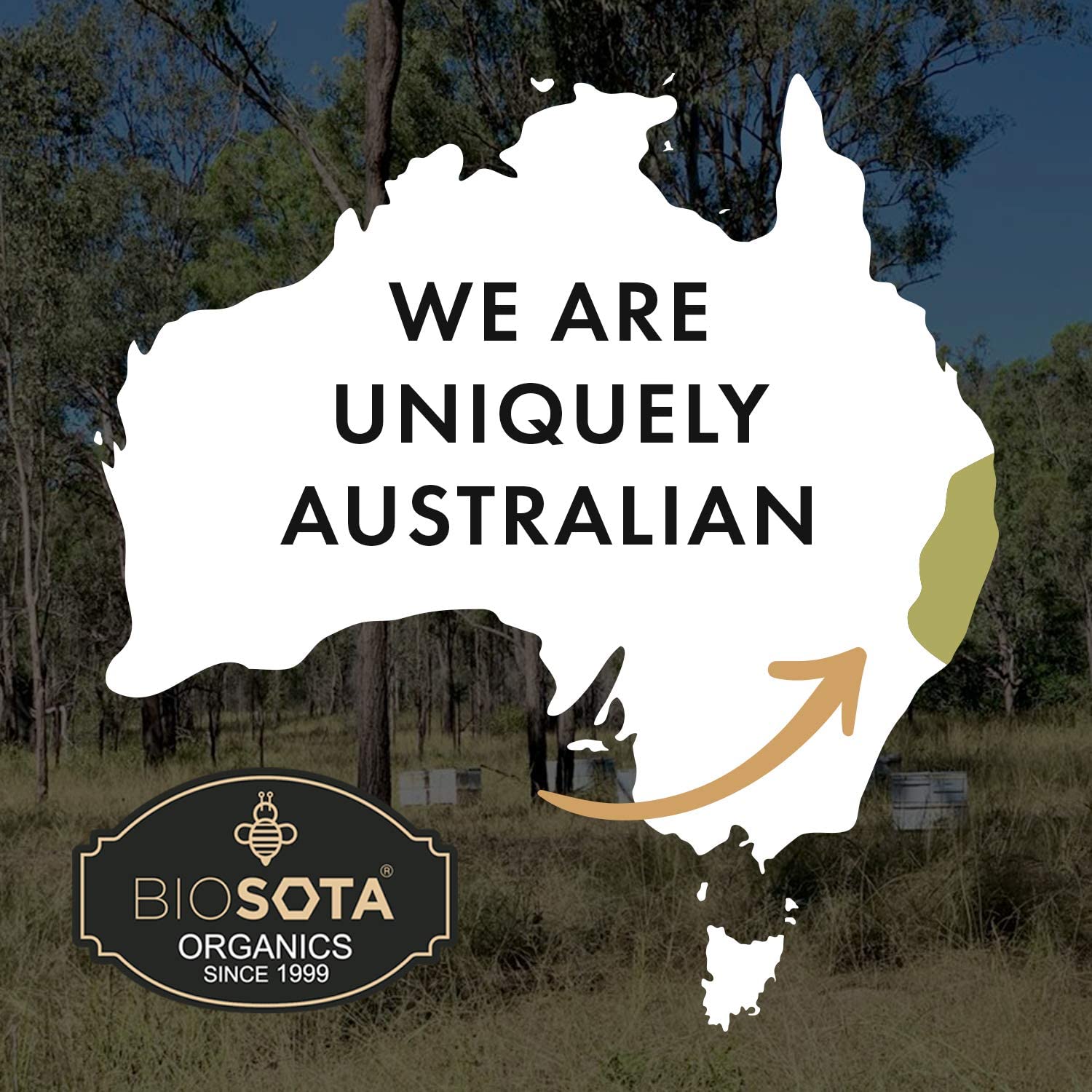 BIOSOTA Organic Manuka Honey MGO 1717+ - Medical Grade Manuka Honey from Australia NPA/ULF 31+, 100% Raw Unheated Pure Honey, 8.8oz (1717+) - Medaid International