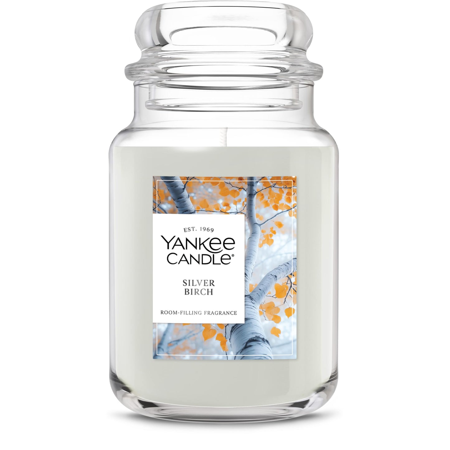 Yankee Candle, Silver Birch Fall Scented Candle, 22oz Large Jar with up to 150 Hour Burn Time - Medaid International