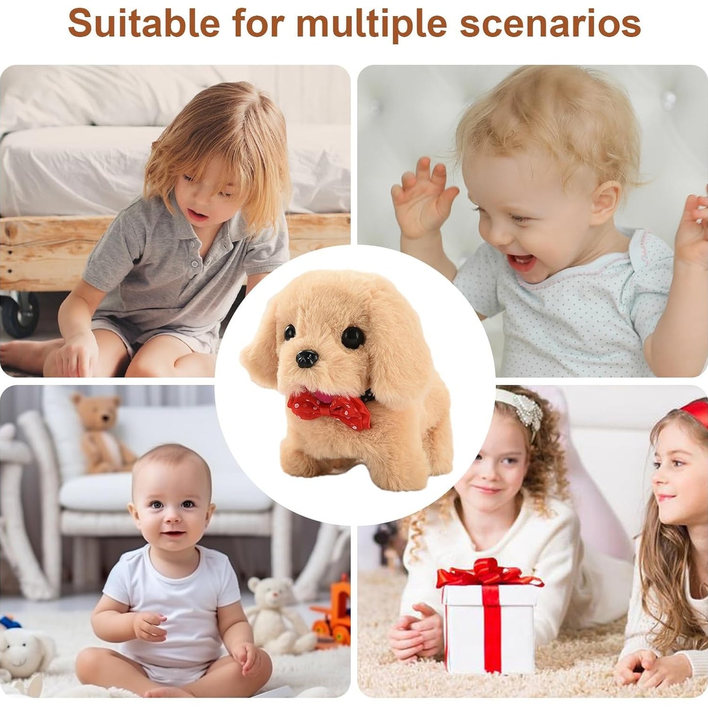 Moving Dog - Medaid International