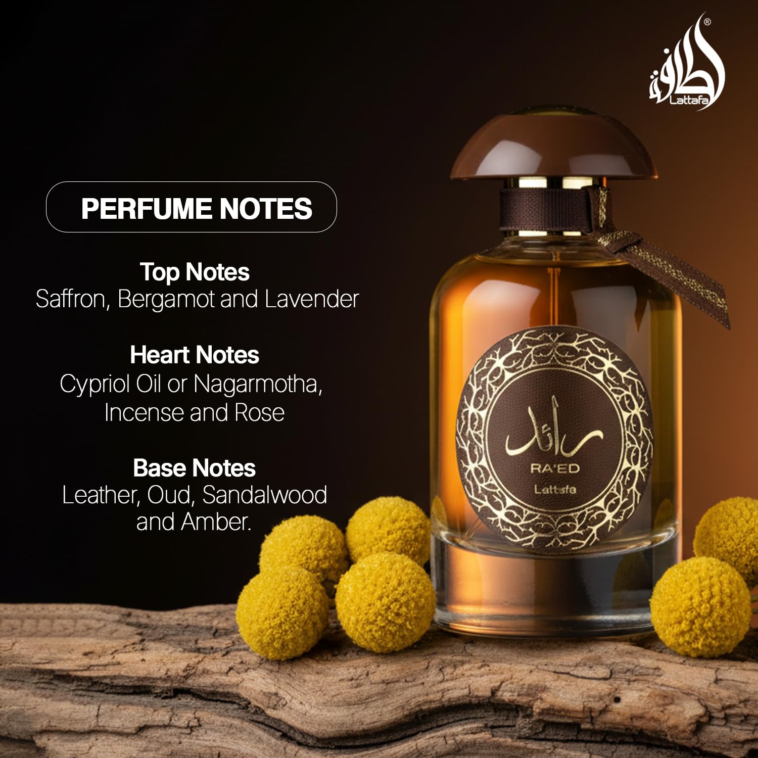 Lattafa Perfumes Ra'ed Oud for Unisex Eau de Parfum Spray, 3.4 Ounce - Medaid International