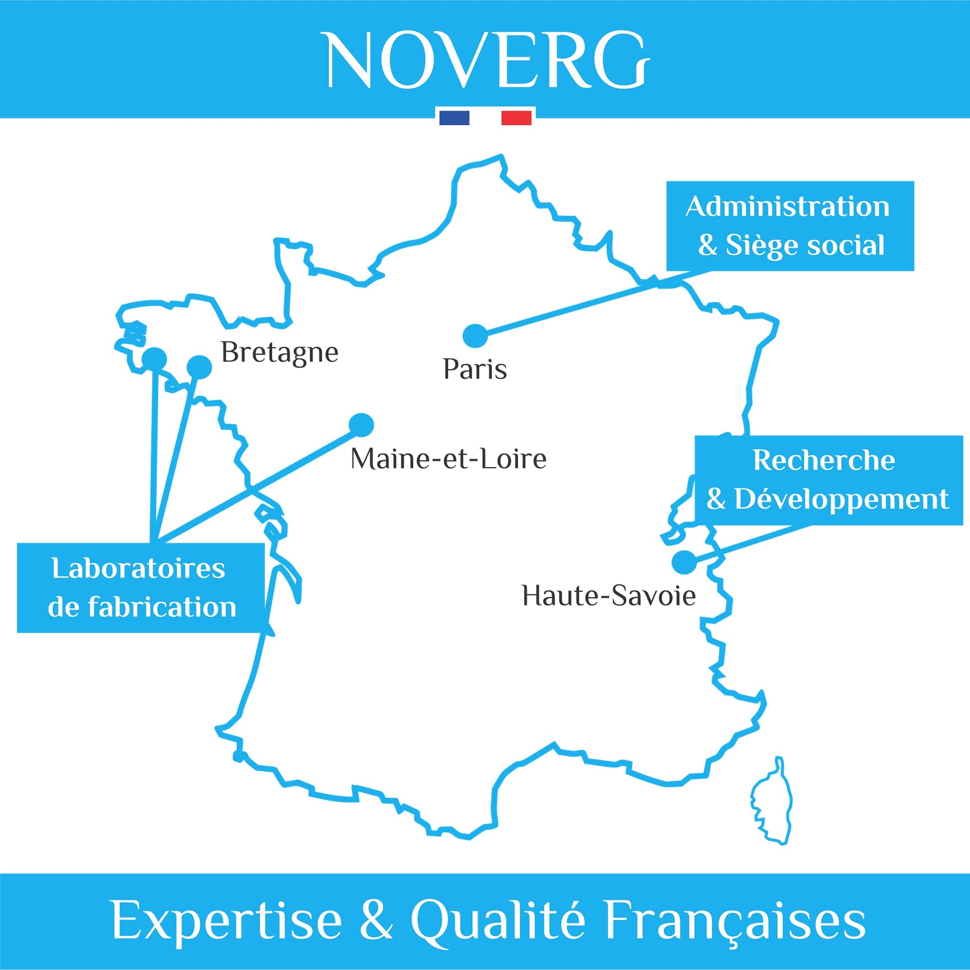 Ventre Plat | Ballonnements, Ventre Gonflé, Flatulences, Gaz | Carvi, Charbon Végétal, Inuline | Vegan | 90 Gélules | Fabriqué en France - Medaid International
