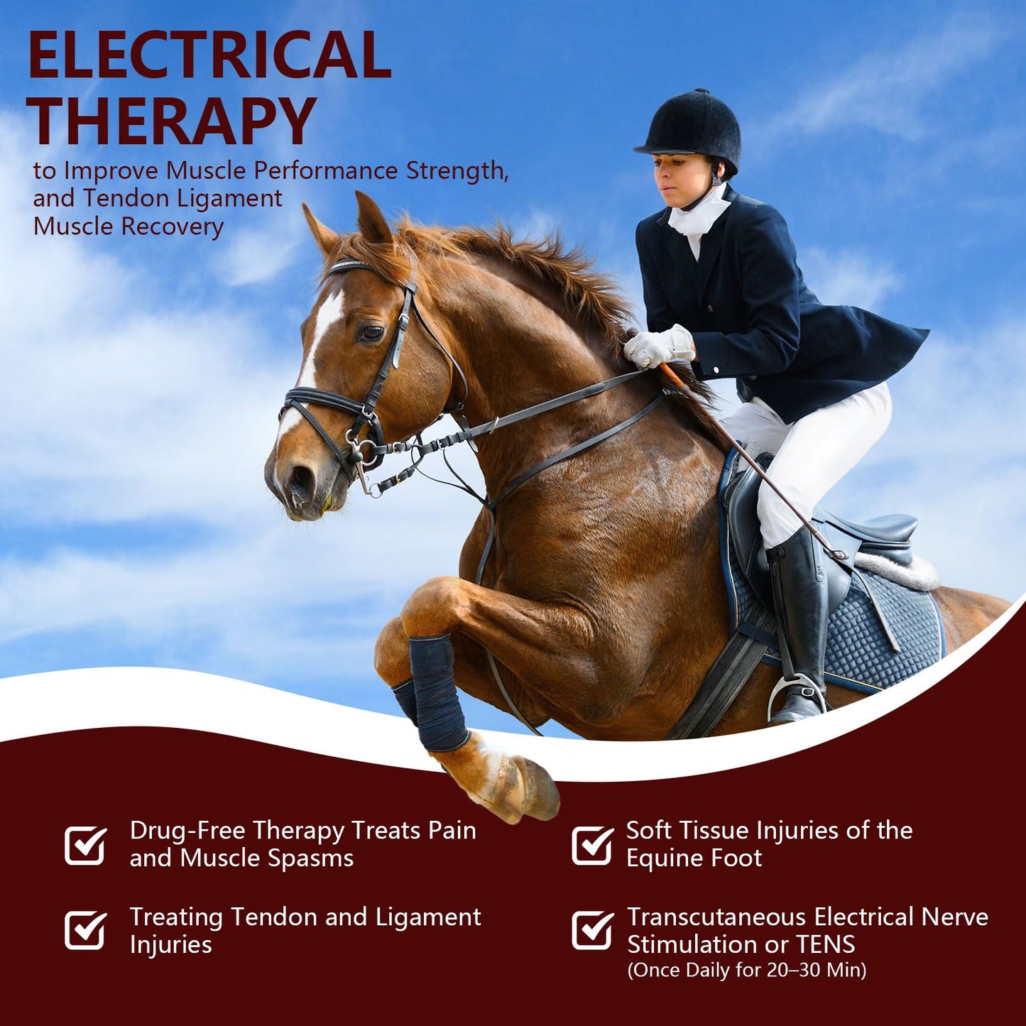 Cold Laser Therapy Device for Horse, Portable Red Light Therapy with 4pcs 808nm and 12pcs 650nm, Near Infrared Laser for Arthritis Pain Relief- Electrical Stimulation for Tendon, and Ligament Recover - Medaid International