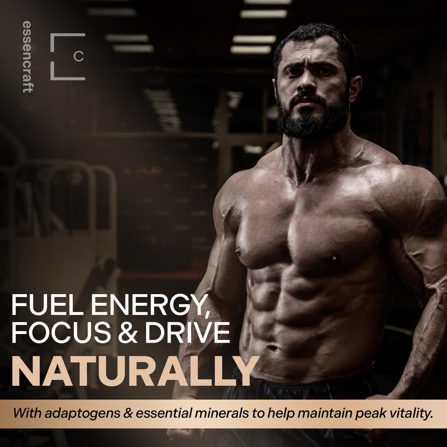 Essencraft Atlas X Testosterone Supplement for Men – 10-in-1 Natural Testosterone Booster & Muscle Booster w/Shilajit, Zinc, Tongkat Ali, & More (120 Capsules) - Medaid International