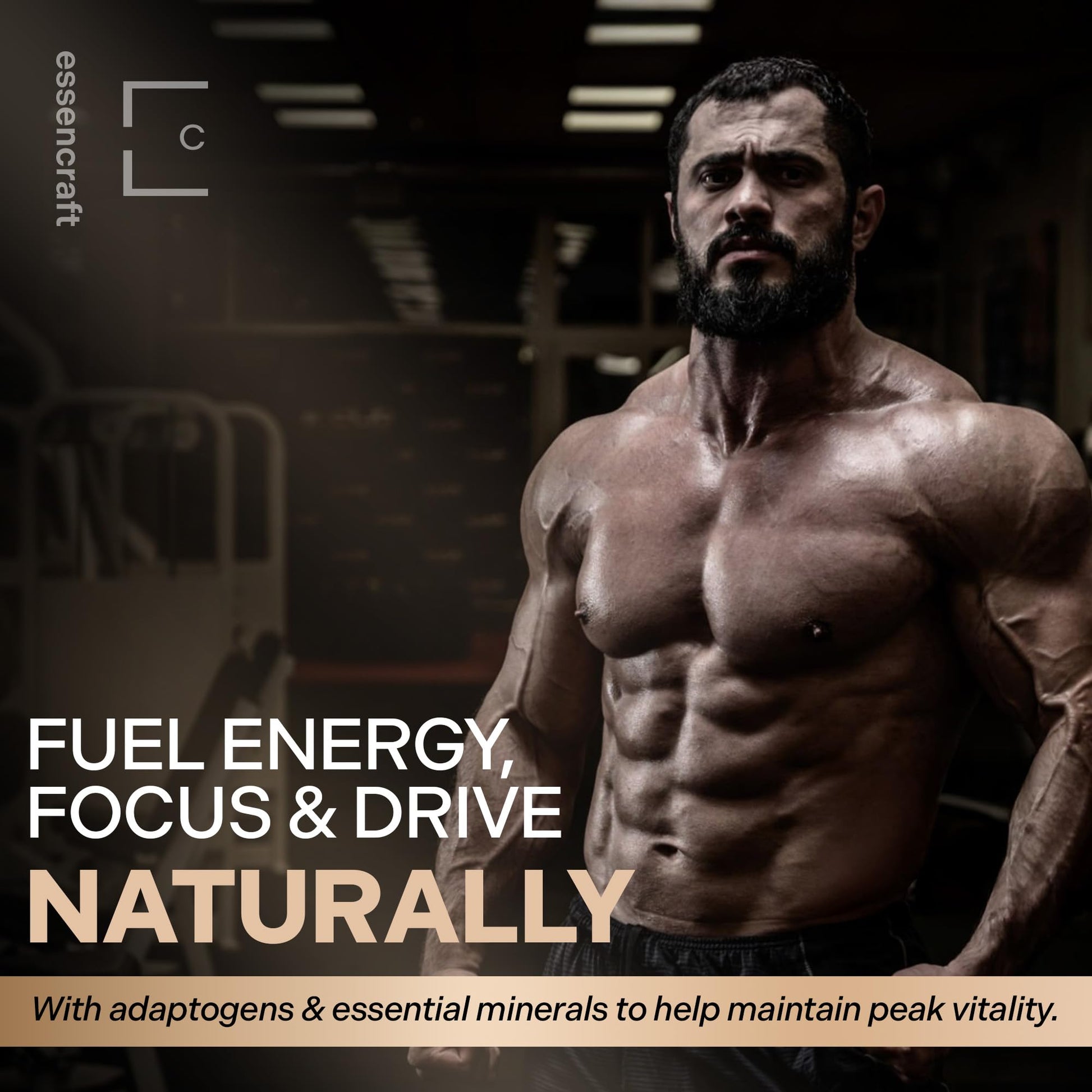 Essencraft Atlas X Testosterone Supplement for Men – 10-in-1 Natural Testosterone Booster & Muscle Booster w/Shilajit, Zinc, Tongkat Ali, & More (120 Capsules) - Medaid International