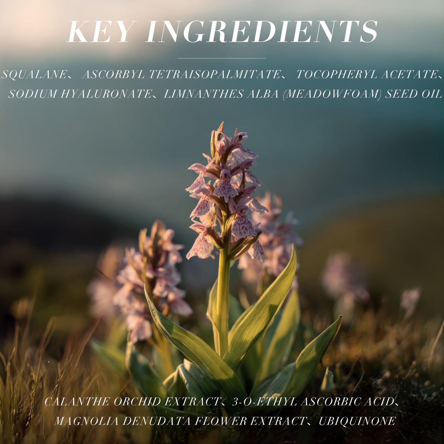 VRAIKO Gua Sha Face Oil Serum | 1st High-Altitude Calanthe Orchid Product | Detox, Plump, Anti-Oxidant, Soothing | Alpine Botanic, Cruelty Free, Natural, 1 fl oz - Medaid International