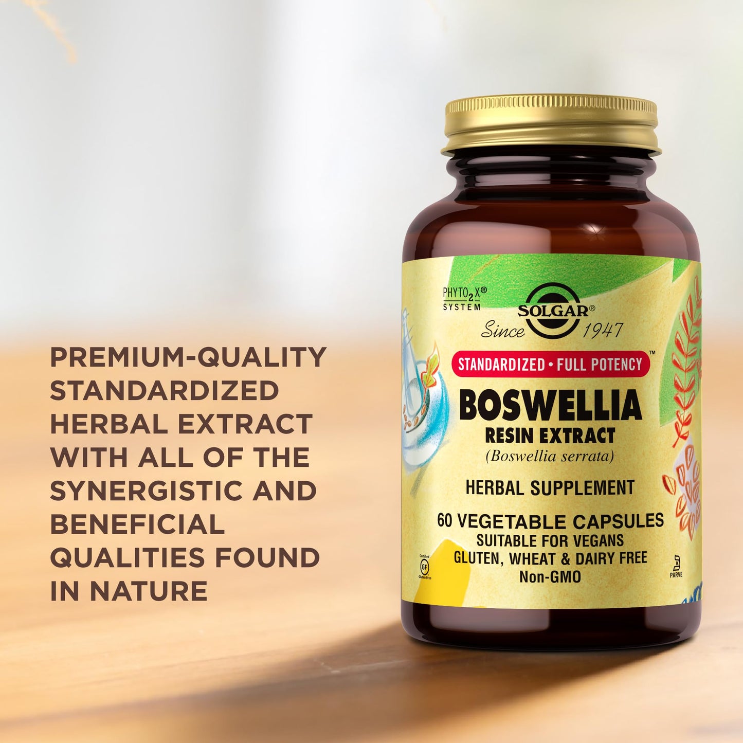 Solgar Boswellia Resin Extract - 60 Vegetable Capsules - Standardized Full Potency (SFP) - Non-GMO, Vegan, Gluten Free, Dairy Free, Kosher - 60 Servings - Medaid International