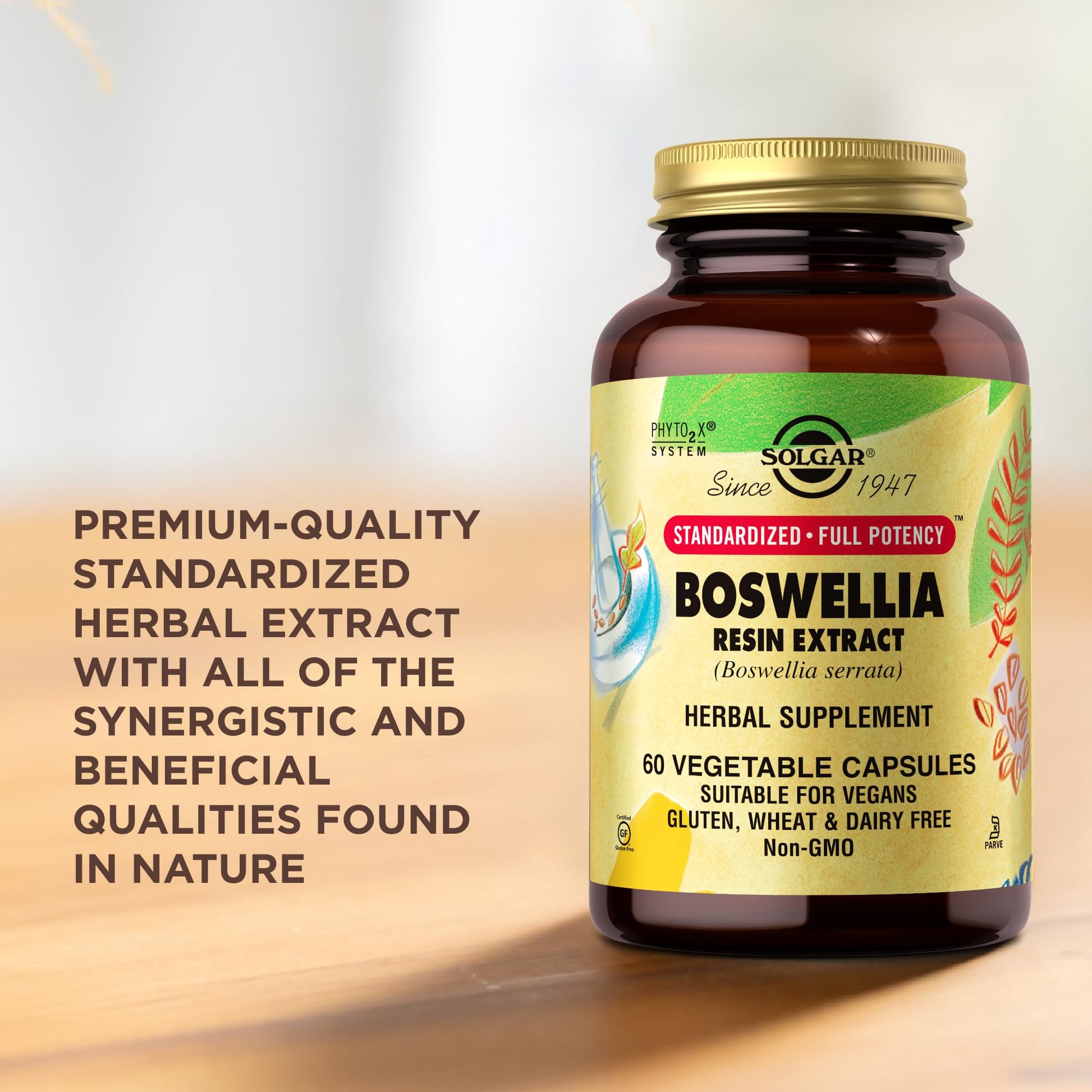 Solgar Boswellia Resin Extract - 60 Vegetable Capsules - Standardized Full Potency (SFP) - Non-GMO, Vegan, Gluten Free, Dairy Free, Kosher - 60 Servings - Medaid International