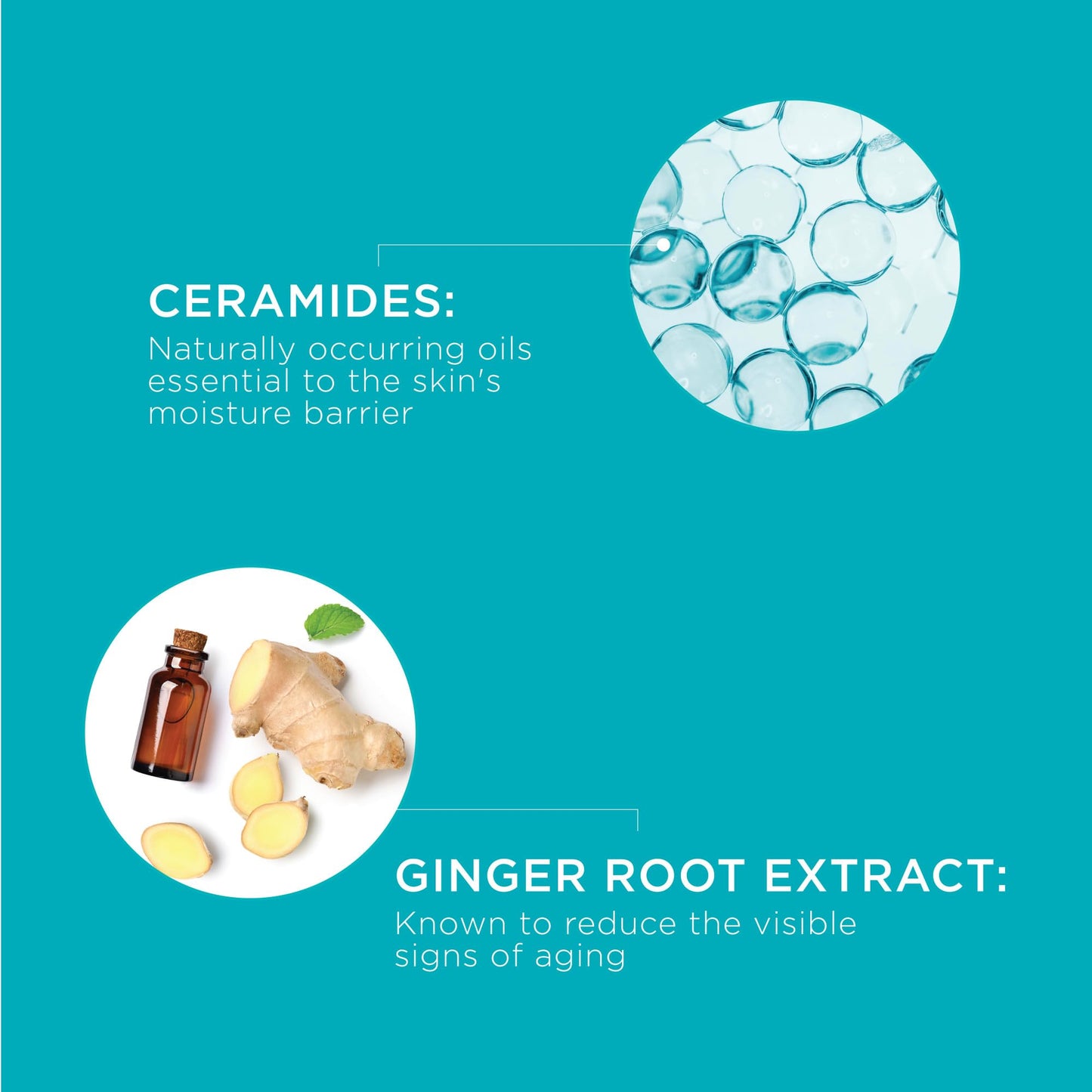 Curel Japanese Skin Care, Anti-Wrinkle Hydrating Serum, Lightweight Serum, Fragrance Free & Colorant Free, For Sensitive Skin, 1.3 Oz - Medaid International