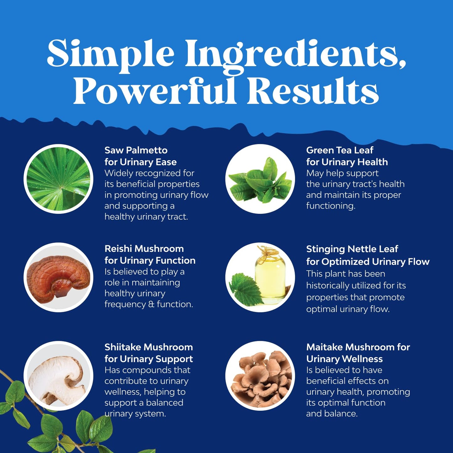 Herbal Prostate Supplement for Men - Potent Pygeum and Saw Palmetto Extract with Beta Sitosterol & Green Tea for Urinary Tract Support - Male Health Blend for Frequent Urination - 90 Capsules - Medaid International