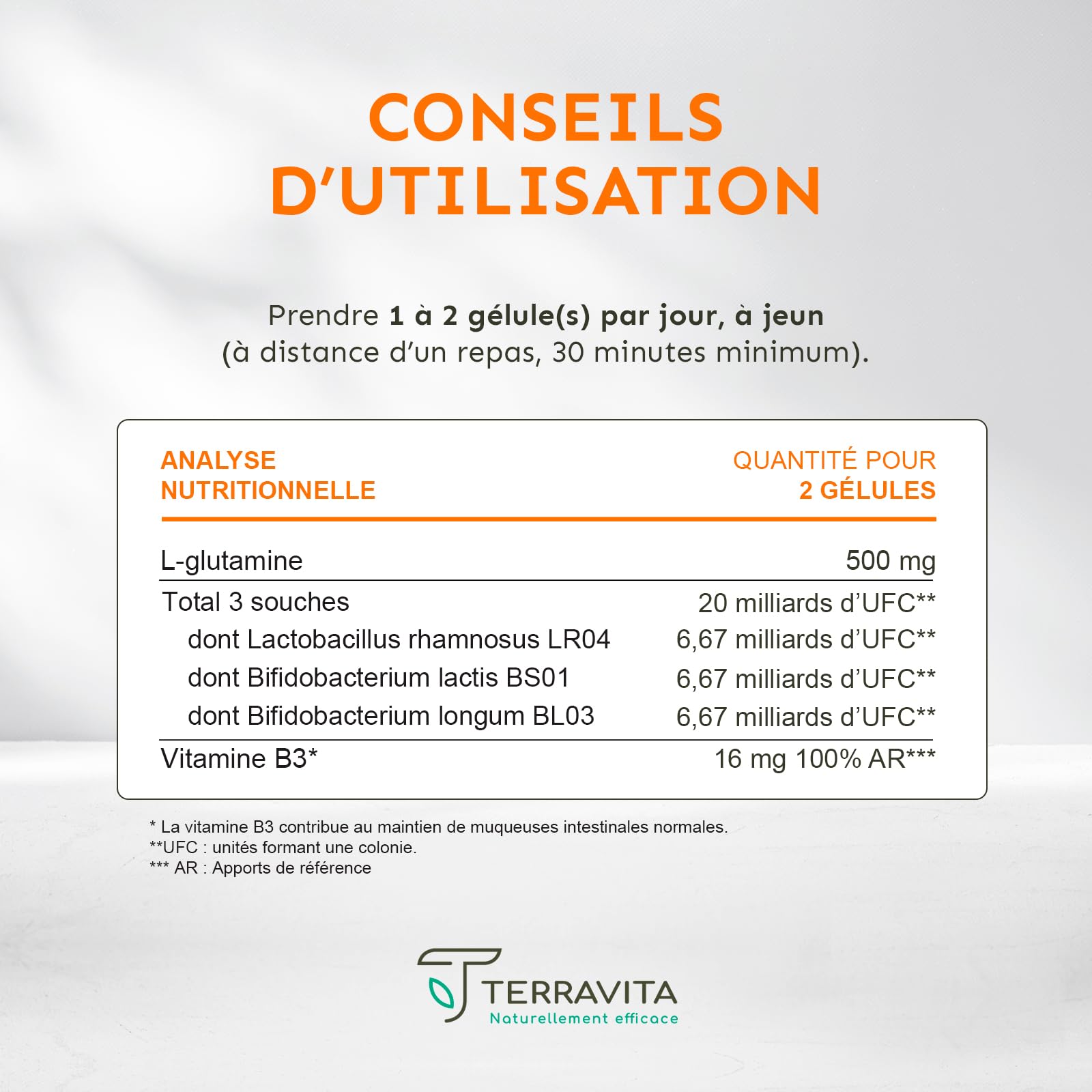 Permea Flore | PROBIOTIQUES + GLUTAMINE | Flore Intestinale et Cicatrisation de la Muqueuse | Idéal Contre la Perméabilité Intestinale | 60 Gélules Gastro-résistantes | Made in France | Terravita - Medaid International
