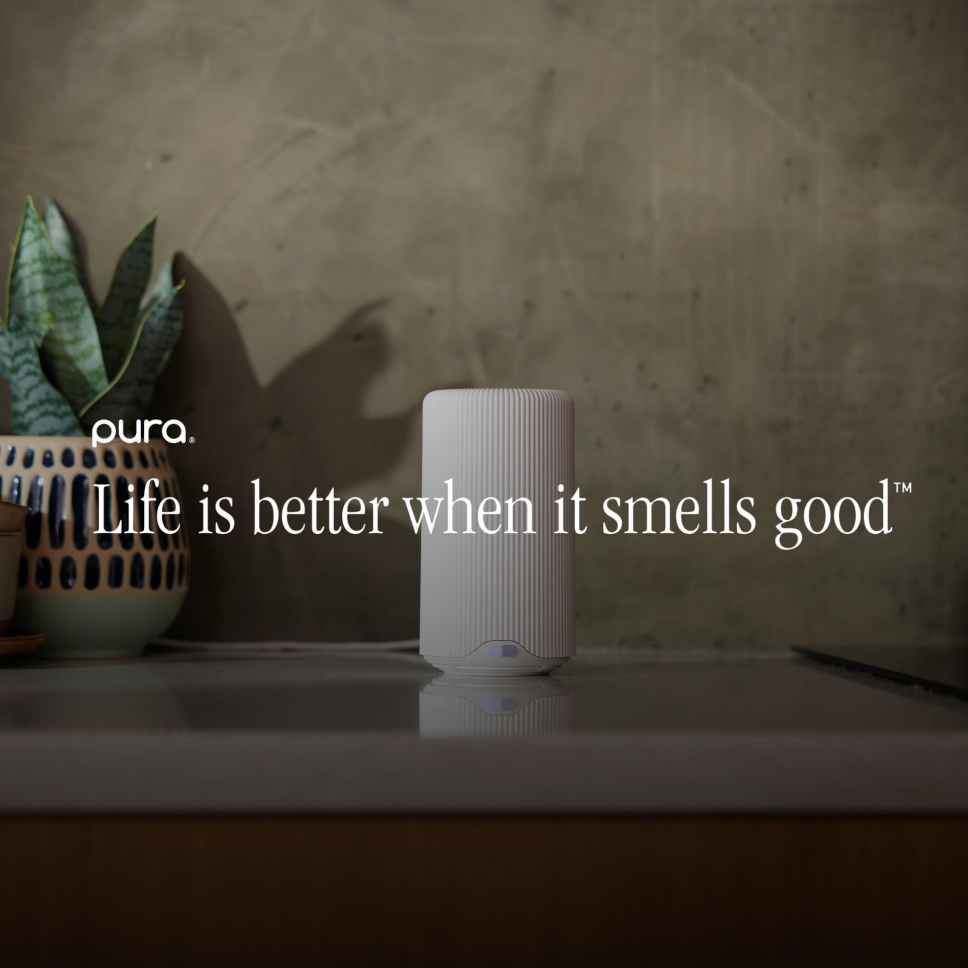 Pura Plus Smart Home Fragrance Diffuser for Large Spaces - Adjust Scent Intensity, Set Schedules & Timers, and More in Pura App - Fragrances Sold Separately - White - Medaid International
