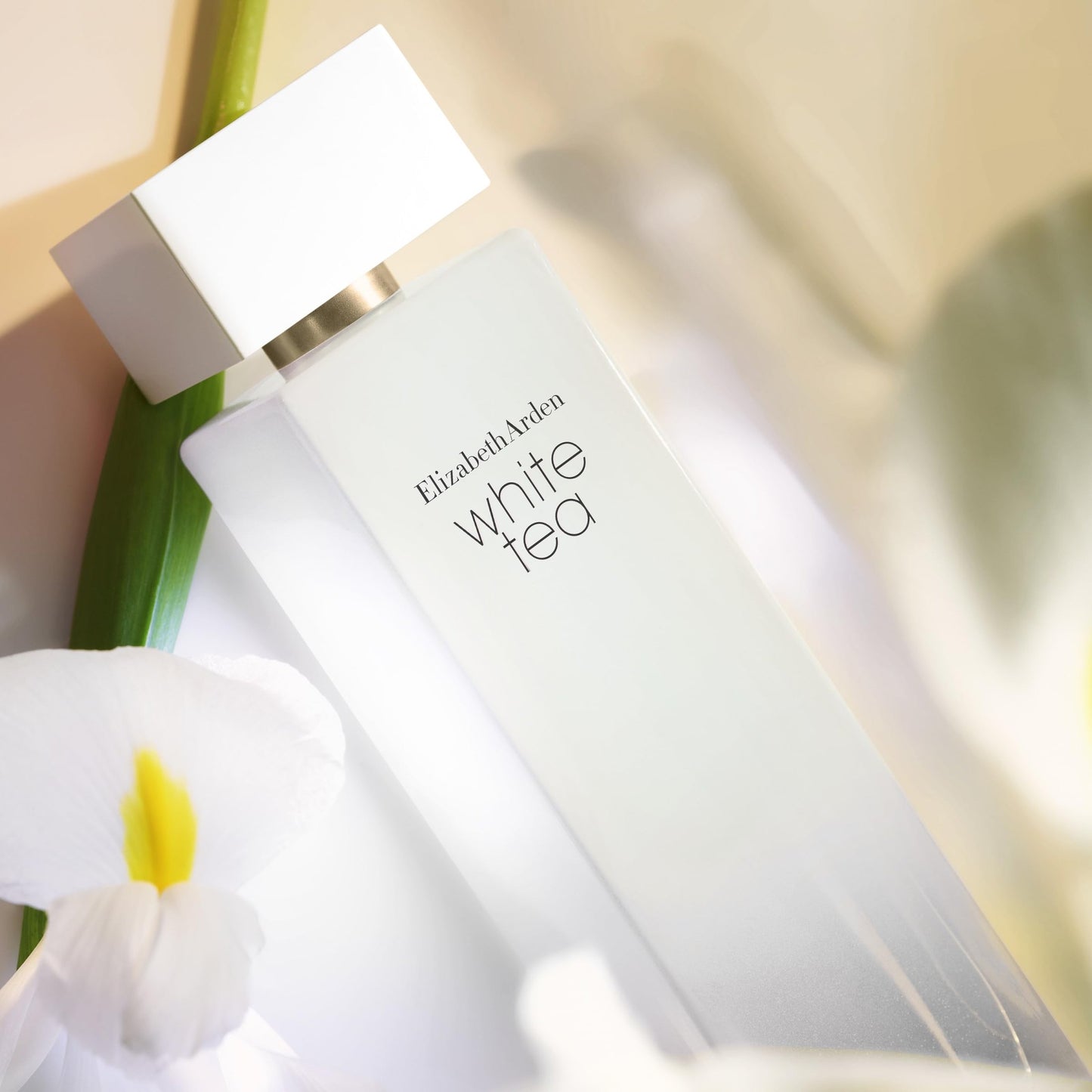 Elizabeth Arden White Tea Eau de Toilette Spray, Perfume for Women with Notes of Clary Sage, White Iris, Musk, Woody & Floral, 1 fl oz - Medaid International