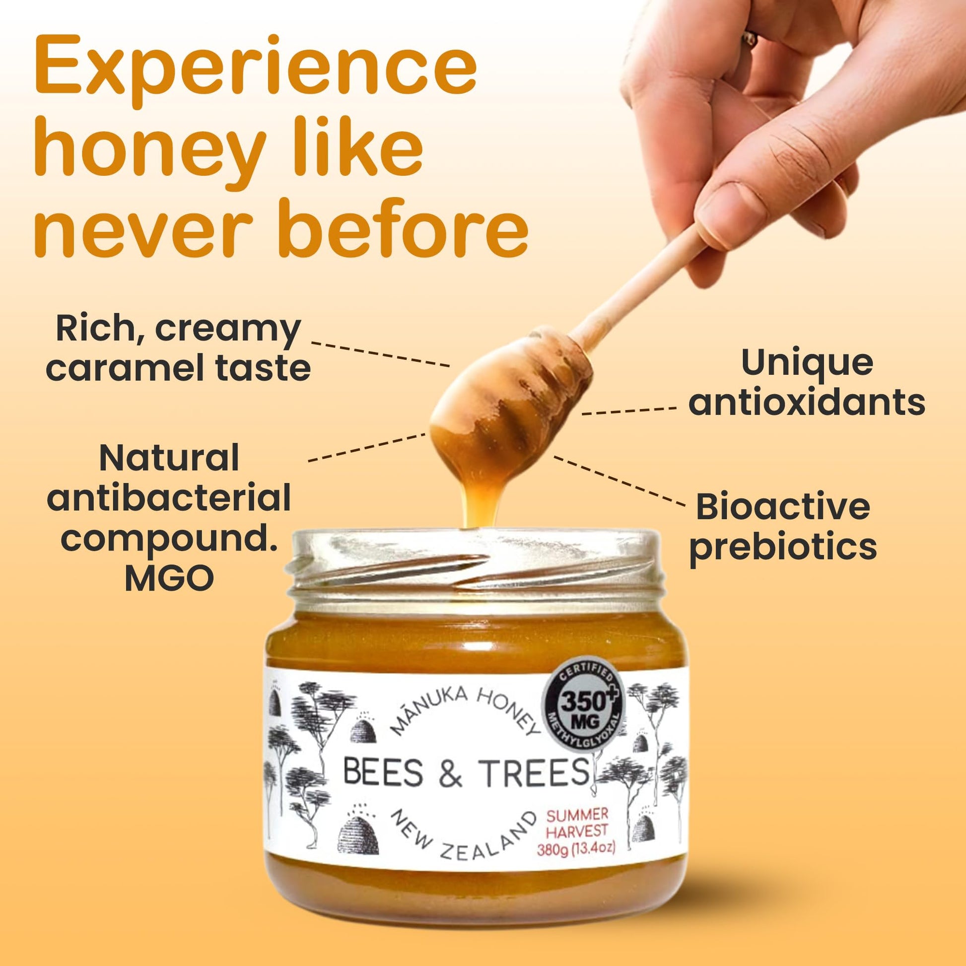 Bees & Trees Manuka Honey 350+ MGO – Pure New Zealand Raw Monofloral Honey – Unpasteurized & Natural – 380g (13.4oz) Glass Jar – Perfect for Coffee, Tea & Daily Wellness - Medaid International