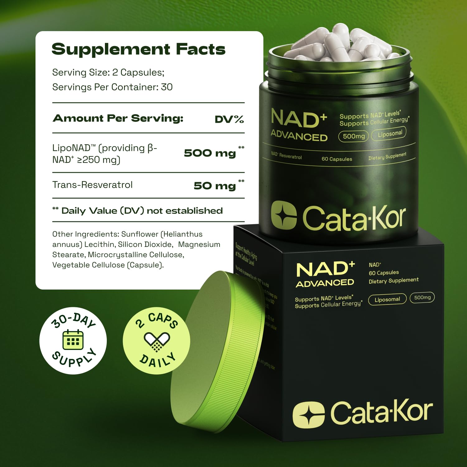 Cata-Kor NMNH Supplement Alternative – Liposomal NAD + Resveratrol – 30-Day Supply – High Purity NAD Supplement for Energy & Healthy Aging – 60 Capsules - Medaid International