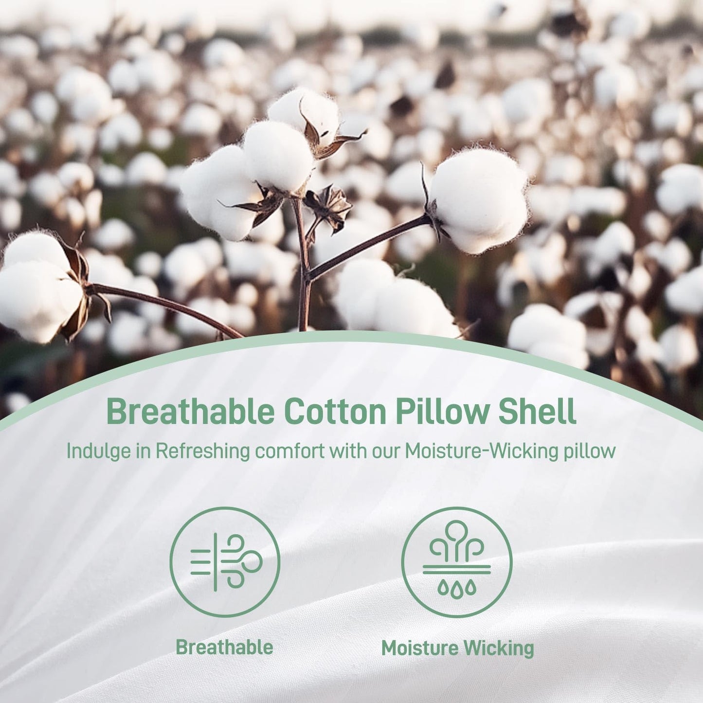 Hypoallergenic Soft Standard/Queen Size Set of 2 Pillows, Down Alternative Filling with Cotton Shell Hotel Quality Pillows, Breathable, Ideal for Side, Back and Stomach Sleeper, Oeko-TEX Certified - Medaid International