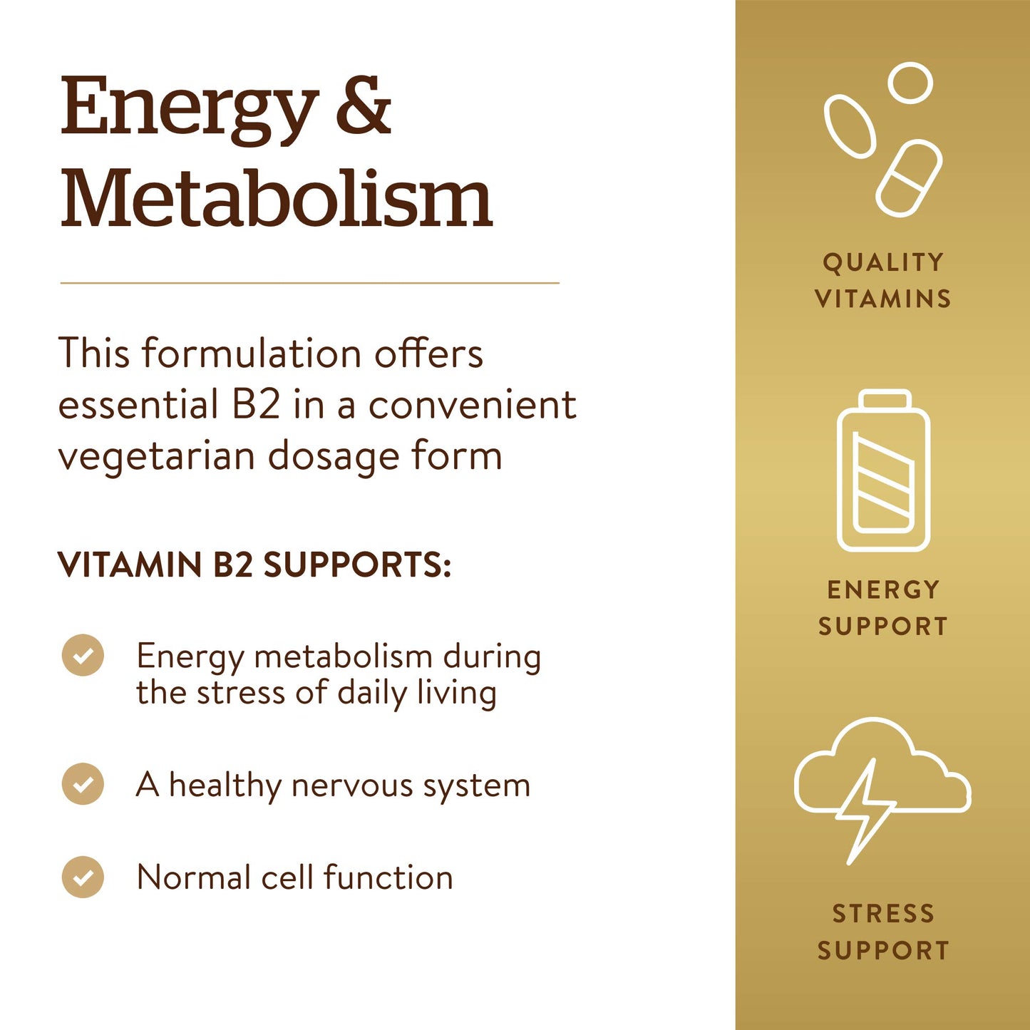 Solgar Vitamin B2 (Riboflavin) 100mg, 100 Vegetable Capsules - Energy Metabolism, Healthy Nervous System - Non-GMO, Vegan, Gluten Free, Dairy Free, Kosher - 100 Servings - Medaid International