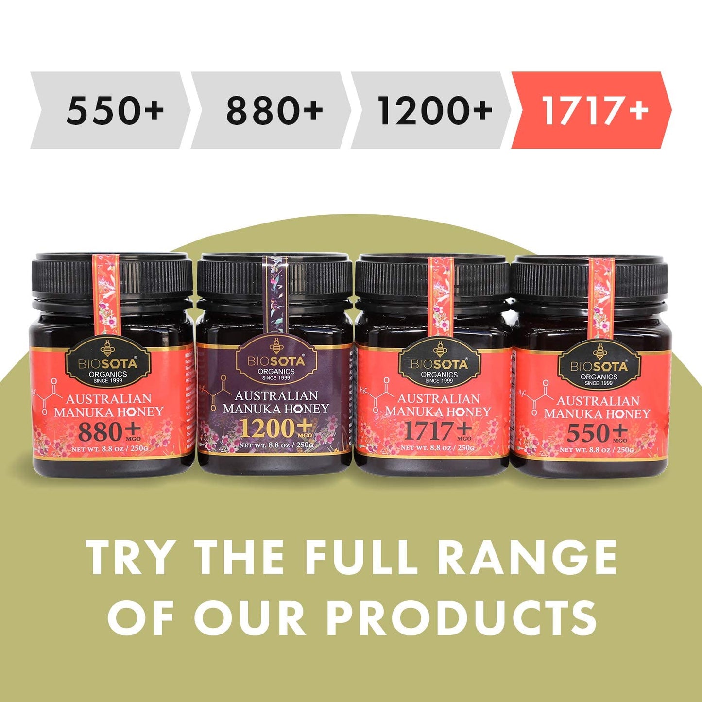 BIOSOTA Organic Manuka Honey MGO 1717+ - Medical Grade Manuka Honey from Australia NPA/ULF 31+, 100% Raw Unheated Pure Honey, 8.8oz (1717+) - Medaid International