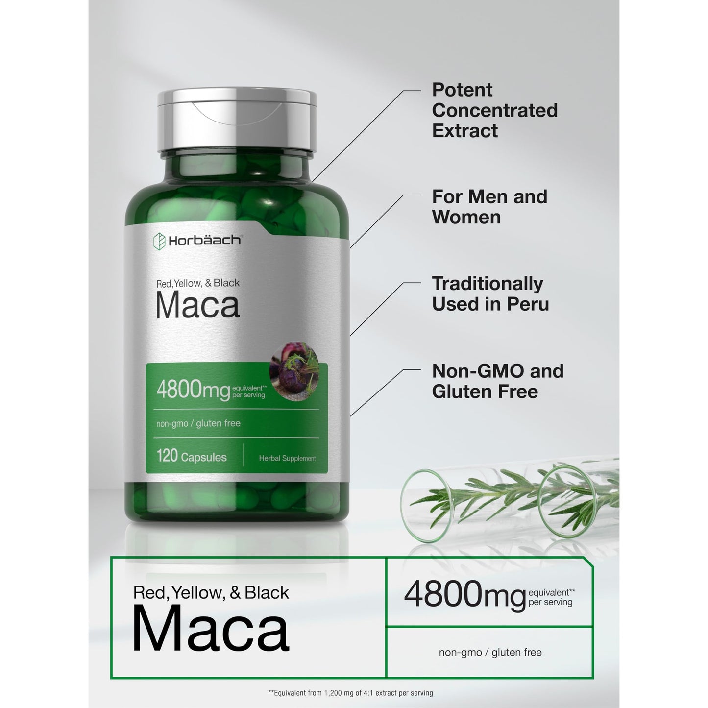 Horbäach Maca Root Capsules for Men and Women | 120 Pills | High Potency Extract | Non-GMO and Gluten Free Formula - Medaid International