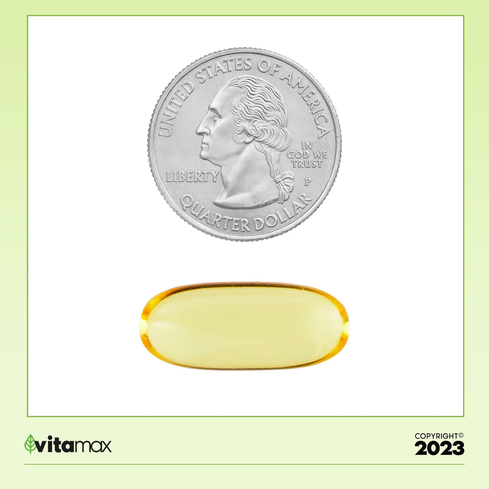 Spring Valley Omega-3 from Fish Oil 1000 mg, Maximum Care, 120 Count + Exclusive VitaMax Vitamin Guide (2 Items) - Medaid International