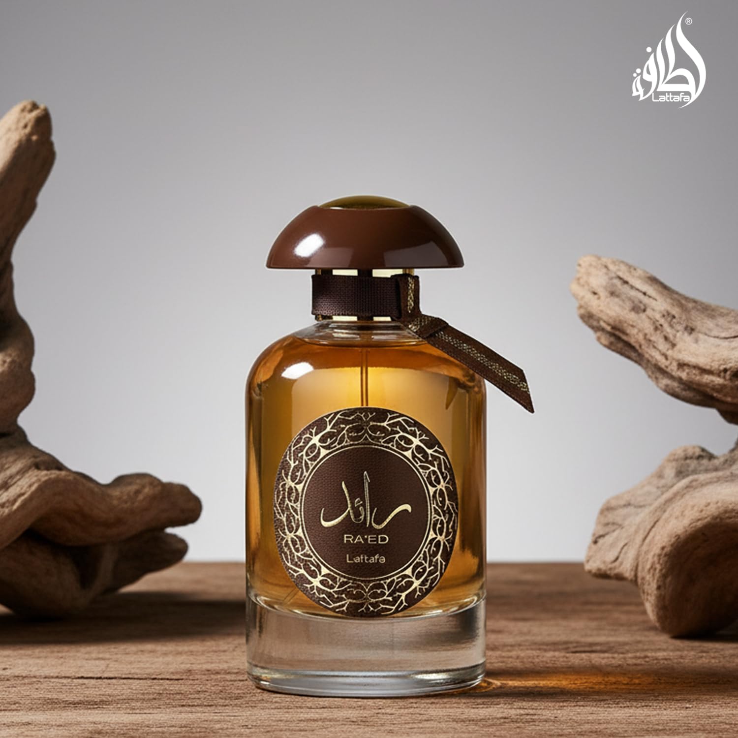 Lattafa Perfumes Ra'ed Oud for Unisex Eau de Parfum Spray, 3.4 Ounce - Medaid International