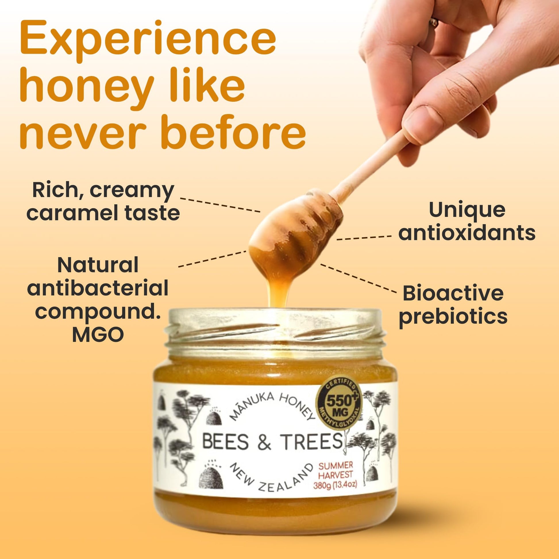 Bees & Trees Manuka Honey 550+ MGO – Pure New Zealand Raw Monofloral Honey – Unpasteurized & Natural – 380g (13.4oz) Glass Jar – Perfect for Coffee, Tea & Daily Wellness - Medaid International