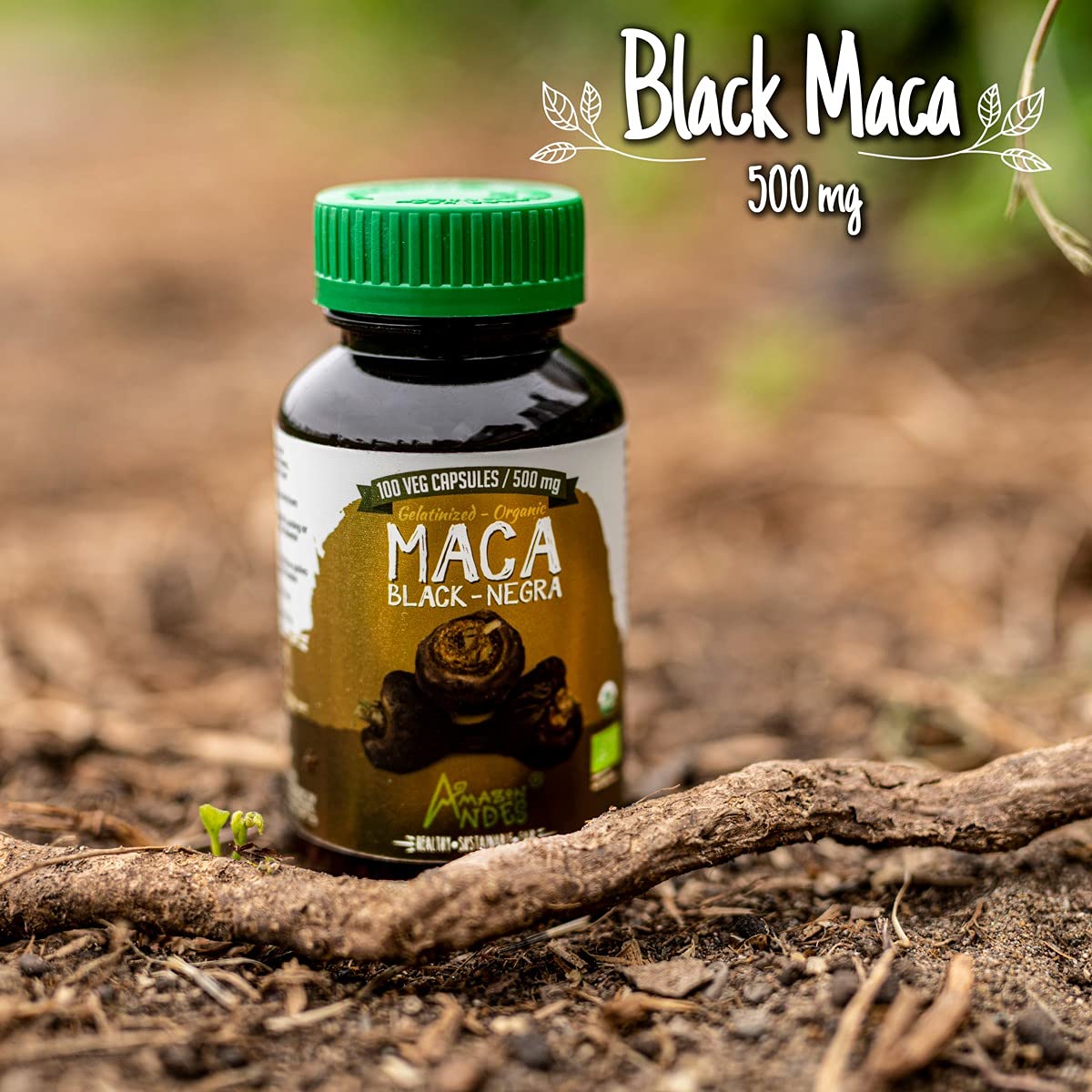 Black Maca Root Capsules l Organic Vegan Pills l 1500mg per Serving l Reproductive Health for Men l Natural Energy Booster l Adaptogen Function l Non GMO and Gluten Free l Amazon Andes - Medaid International