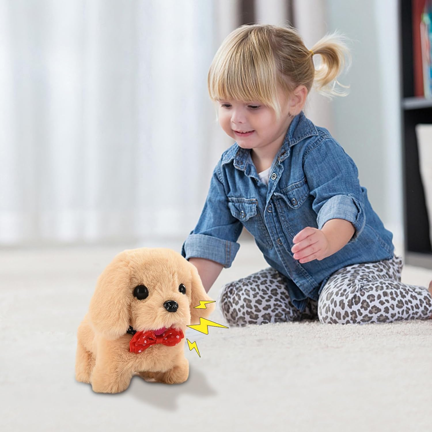 Moving Dog - Medaid International