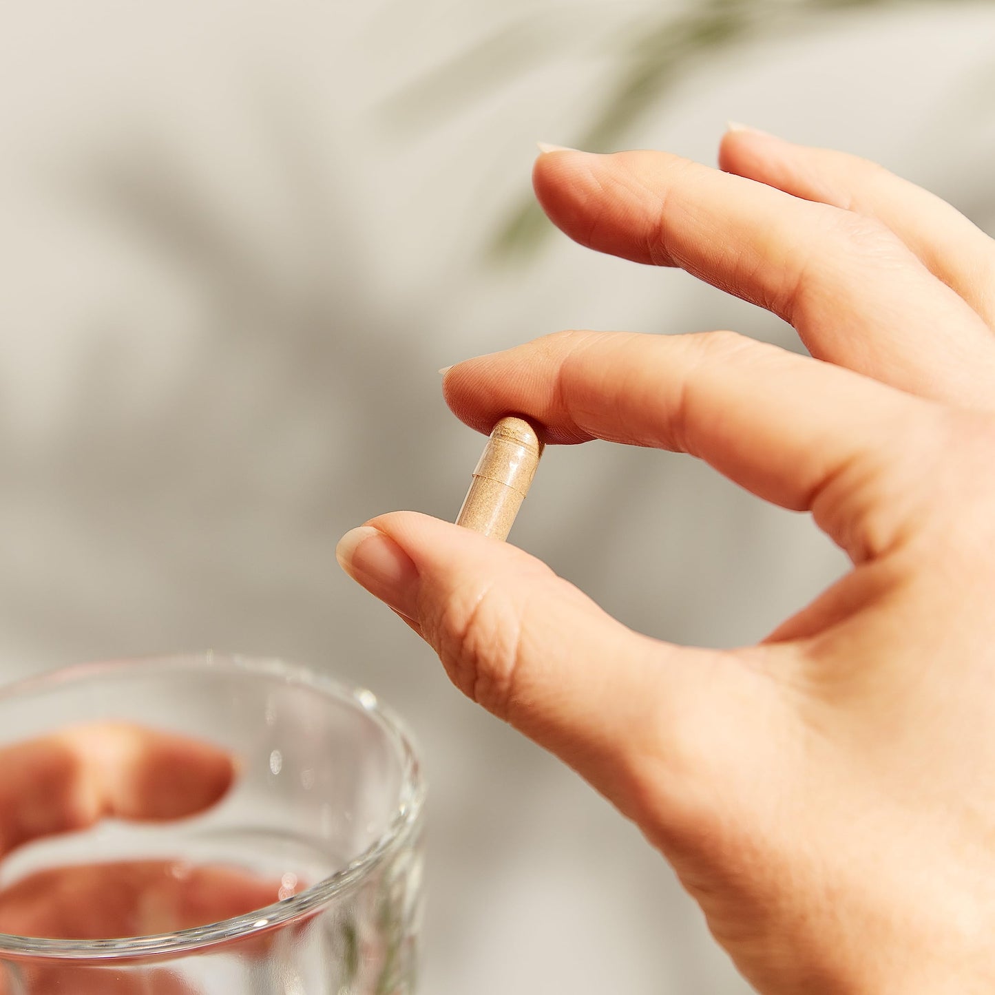 Solgar Standardized Full Potency Deglycyrrhized Licorice Root Extract Vegetable Capsules, 60 Count - Medaid International