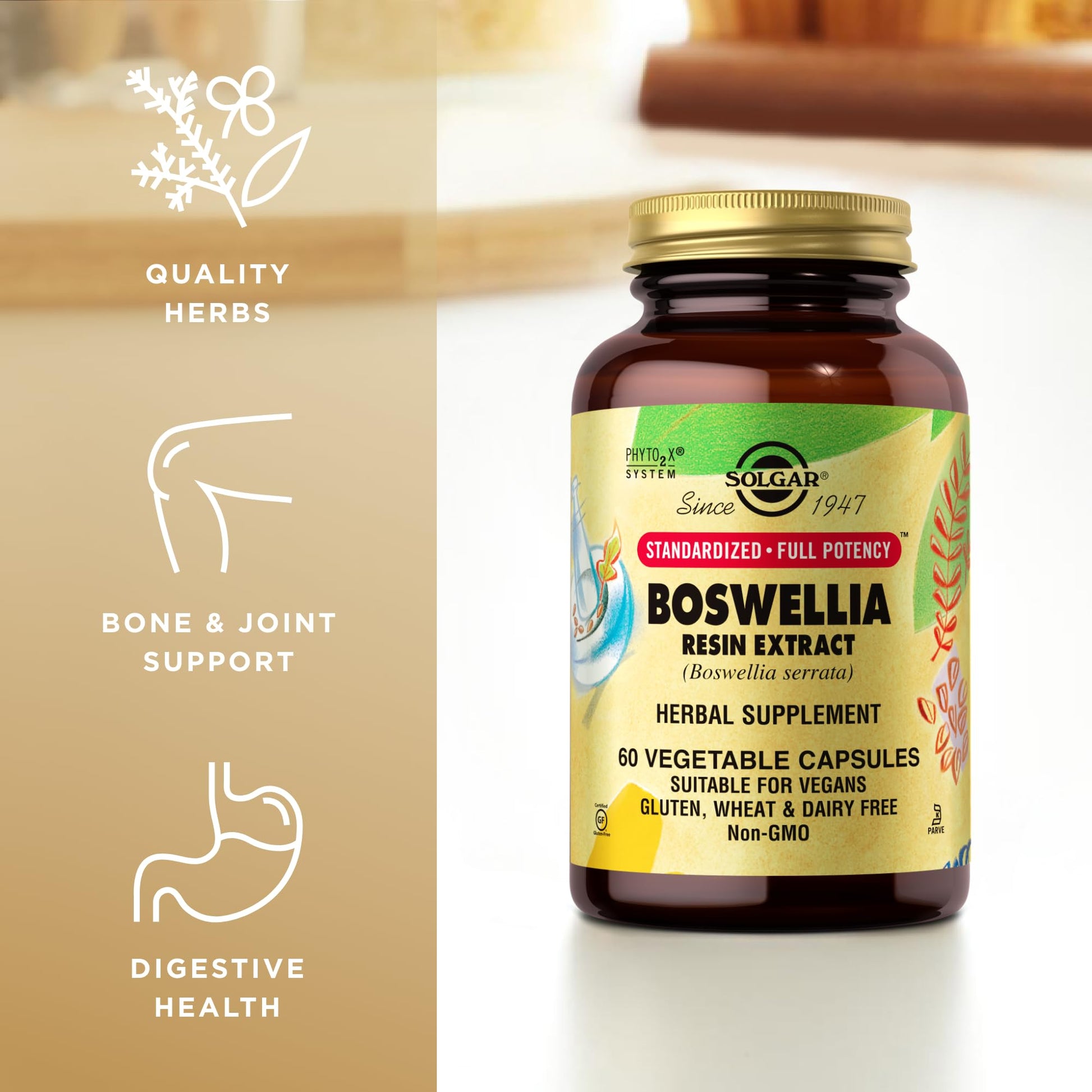 Solgar Boswellia Resin Extract - 60 Vegetable Capsules - Standardized Full Potency (SFP) - Non-GMO, Vegan, Gluten Free, Dairy Free, Kosher - 60 Servings - Medaid International