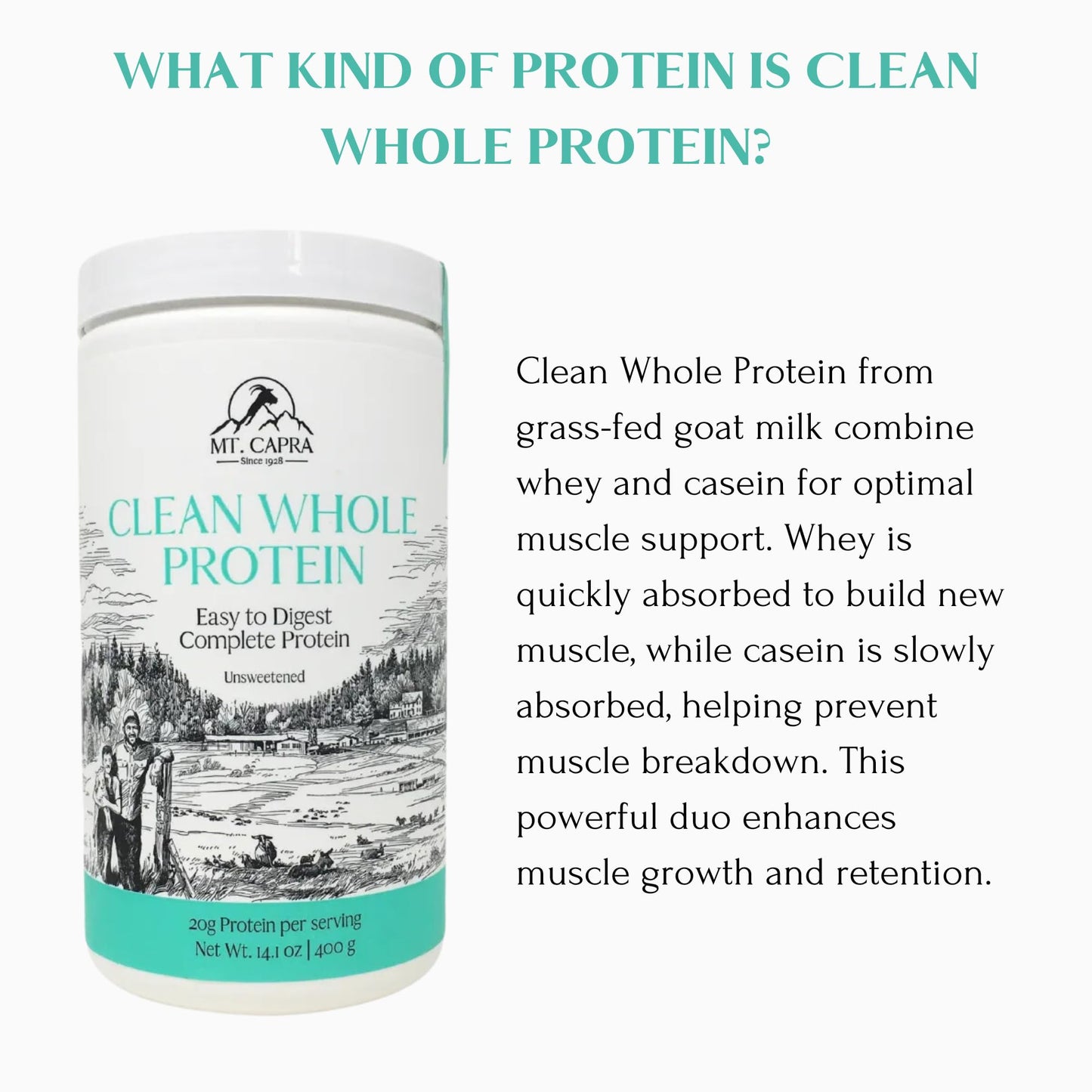 Mt. Capra Clean Whole Protein | Grass-Fed Goat Protein with Whey and Casein Protein | No Bloat, Build and Maintain Muscle, 20 g Protein per Serving, No Sweeteners | 13 Servings - 400 g - Medaid International