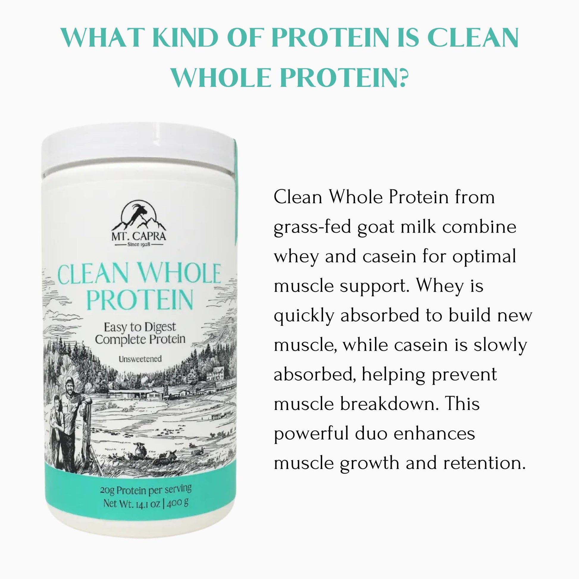 Mt. Capra Clean Whole Protein | Grass-Fed Goat Protein with Whey and Casein Protein | No Bloat, Build and Maintain Muscle, 20 g Protein per Serving, No Sweeteners | 13 Servings - 400 g - Medaid International