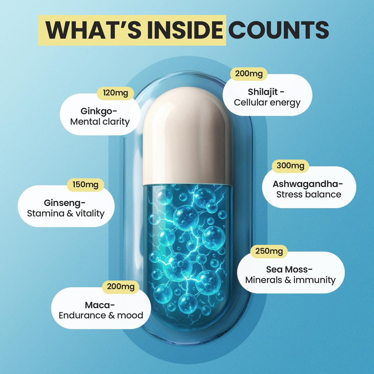 Pure Himalayan Shilajit Supplement, Ashwagandha, Sea Moss, Rhodiola Rosea, Gingko Biloba - Fulvic Acid & Trace Mineral Capsules for Men and Women – Made in USA - Medaid International