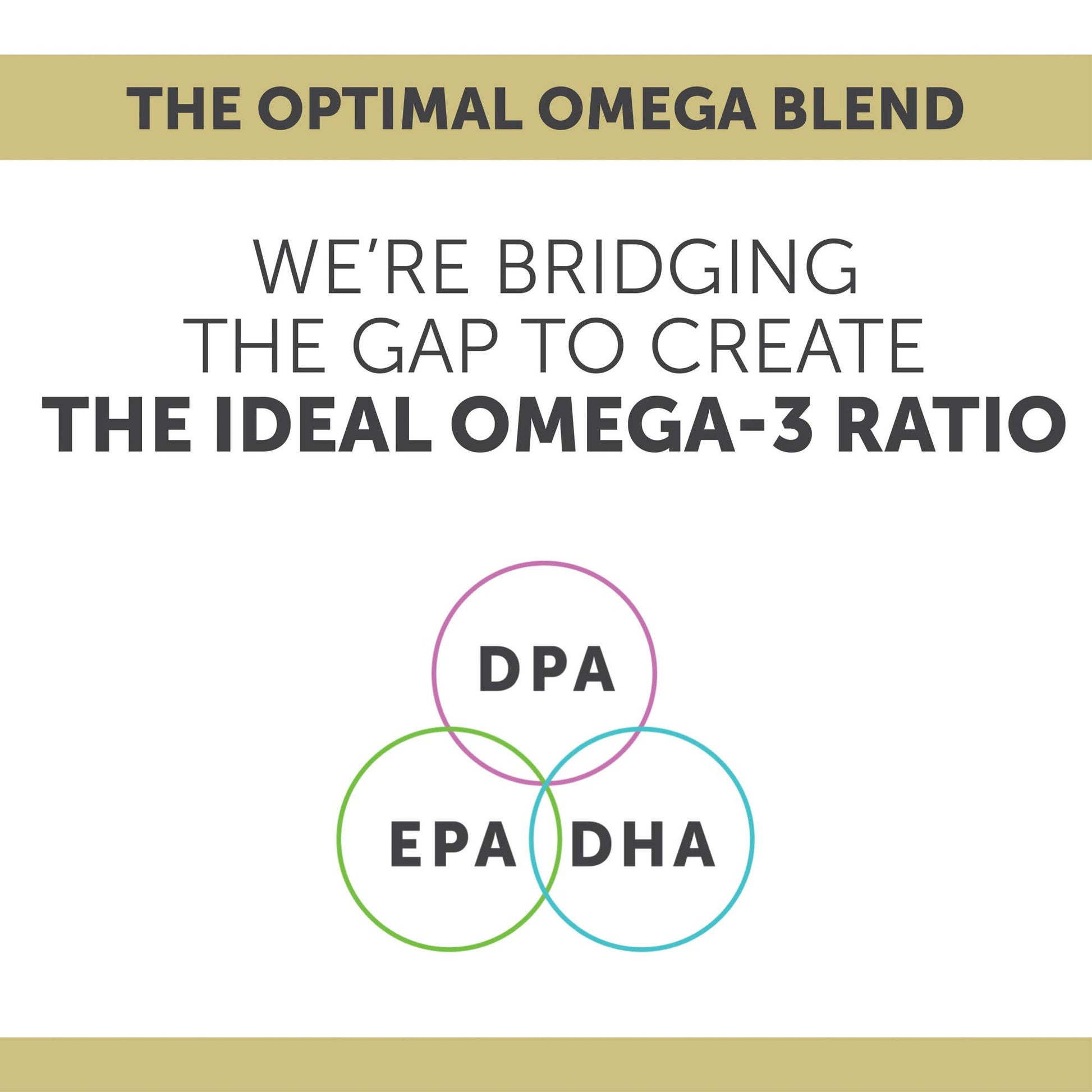 Enzymedica Aqua Biome Maximum Strength Omega 3 Fish Oil, 60 Softgels - Medaid International