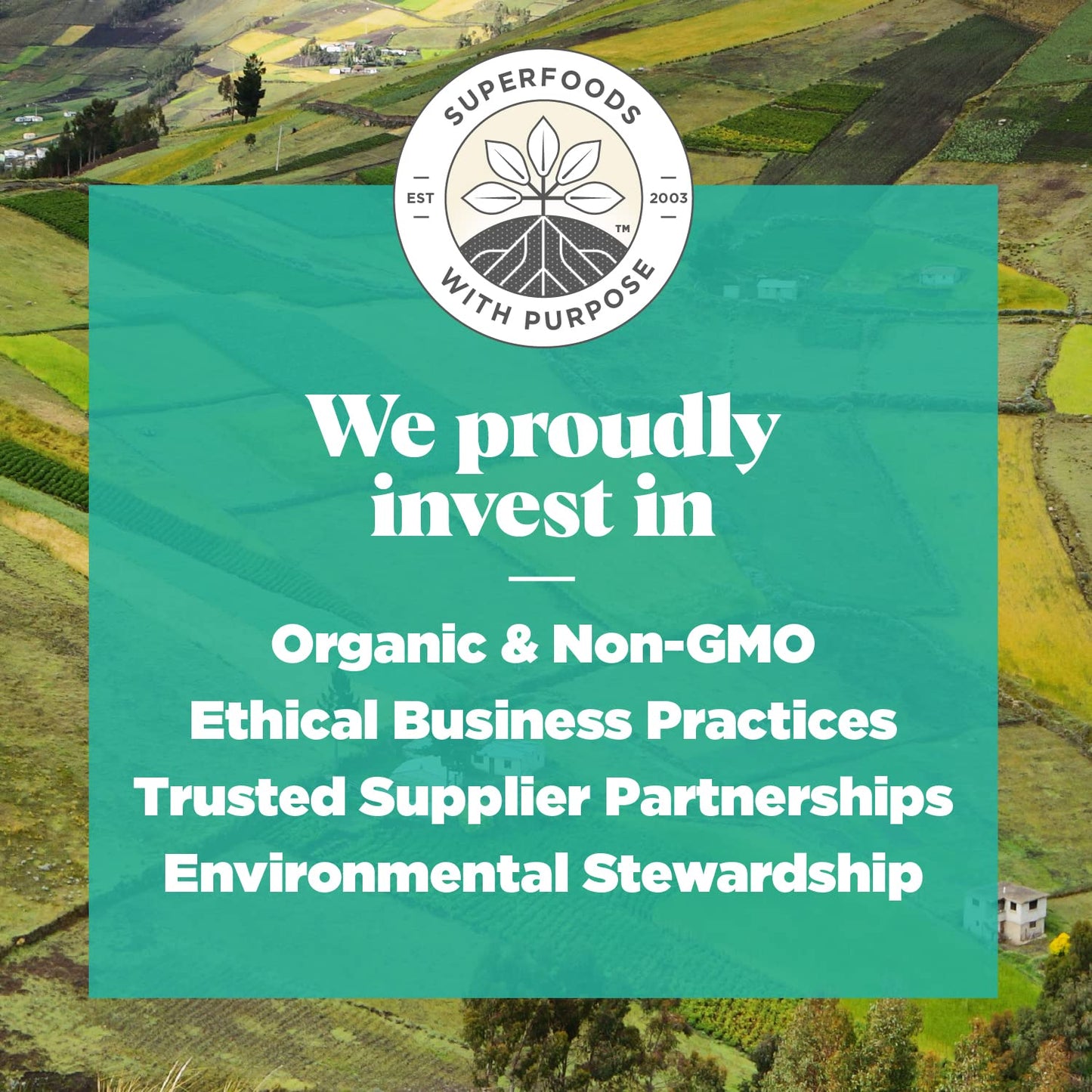 Navitas Organics Maca Powder – 100% Gelatinized Peruvian Maca for Smoothies, Lattes, Baking & More – Energize & Balance - USDA Organic, Non GMO, Vegan, Gluten Free (16oz. Bag, 180 Servings, 2-Pack) - Medaid International