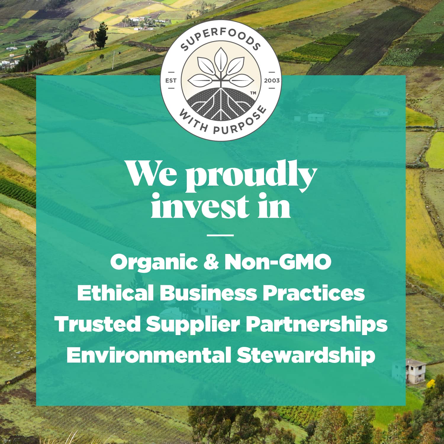 Navitas Organics Maca Powder – 100% Gelatinized Peruvian Maca for Smoothies, Lattes, Baking & More – Energize & Balance - USDA Organic, Non GMO, Vegan, Gluten Free (16oz. Bag, 180 Servings, 2-Pack) - Medaid International